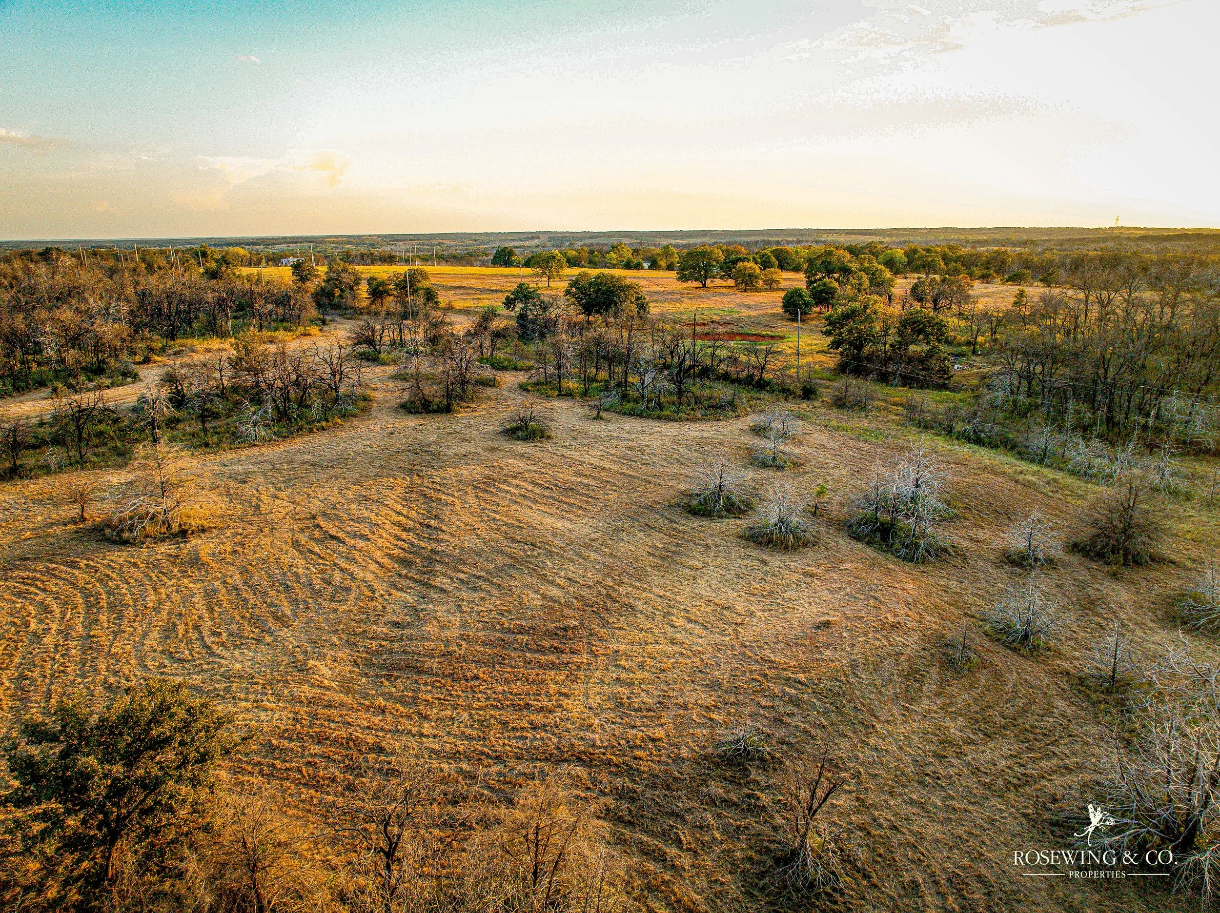 dji_fly_20260910_081704_36_1789057141266_photo.jpeg