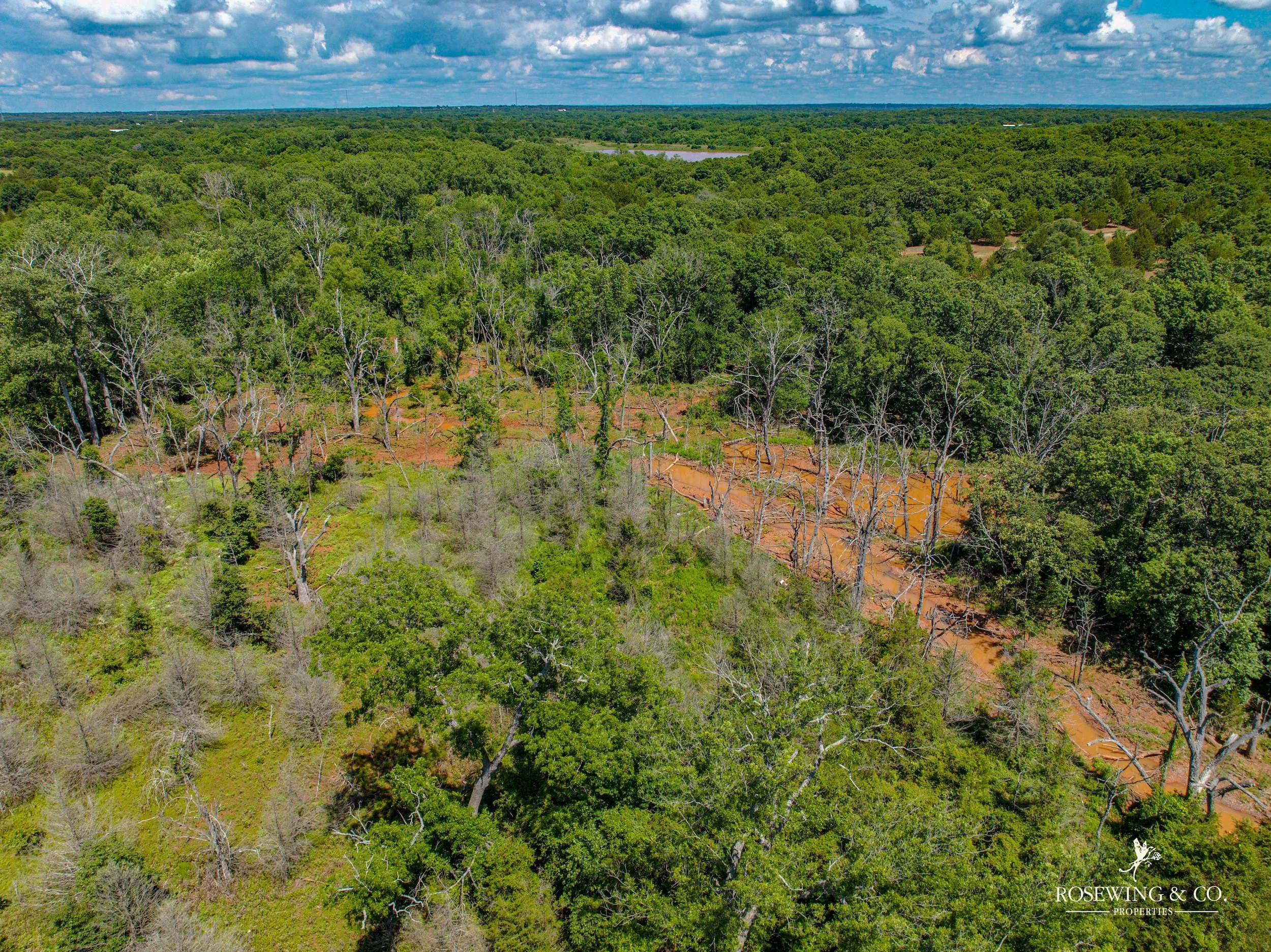 dji_fly_20260529_041848_891_1780419794077_photo.jpg