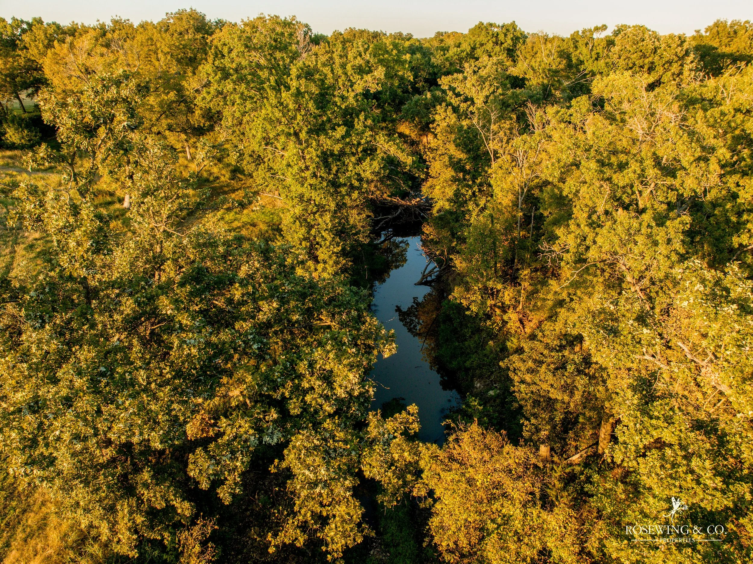 dji_fly_20261009_073436_170_1791929306444_photo.jpeg
