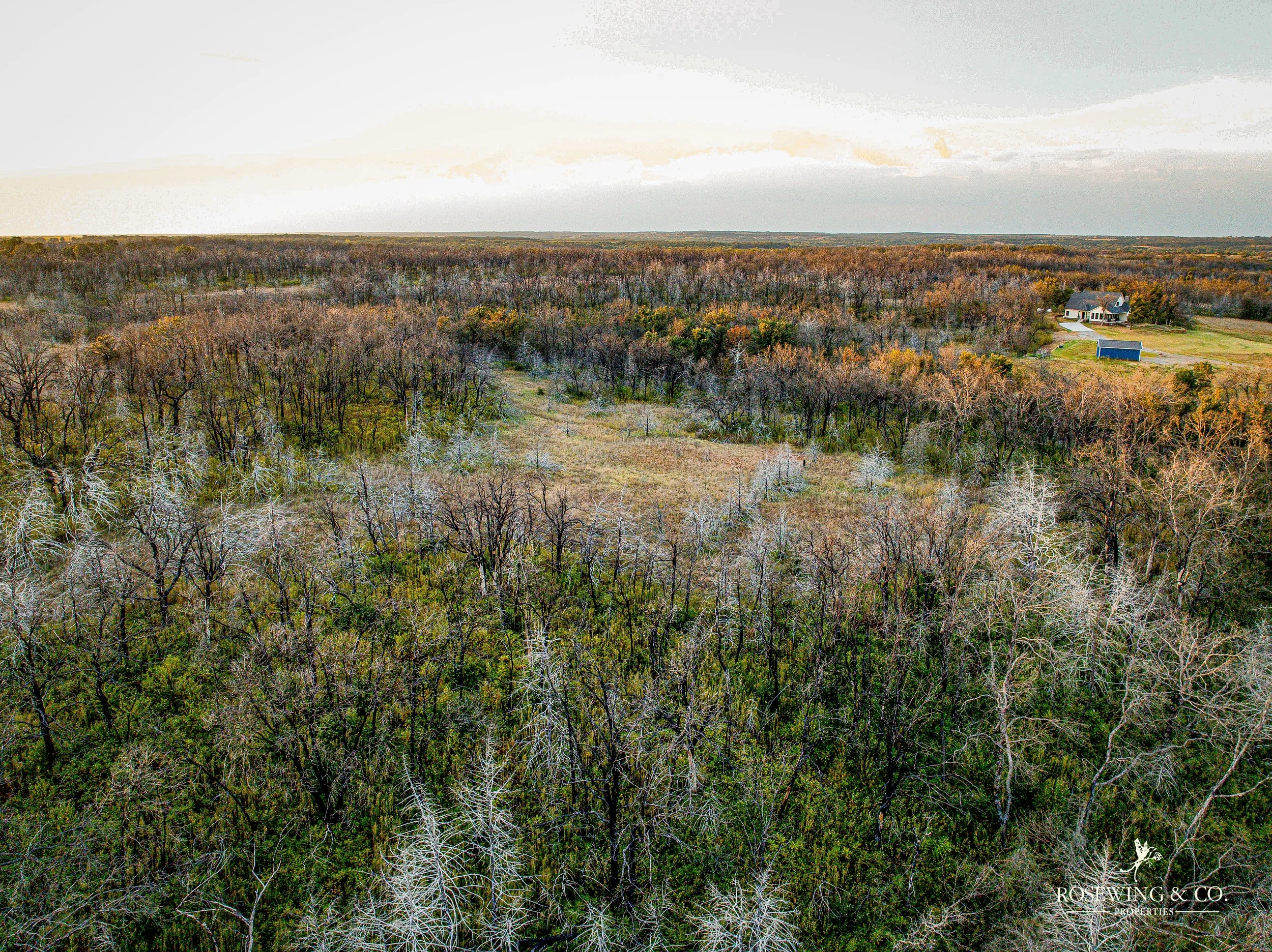 dji_fly_20260910_082342_58_1789057128785_photo.jpeg