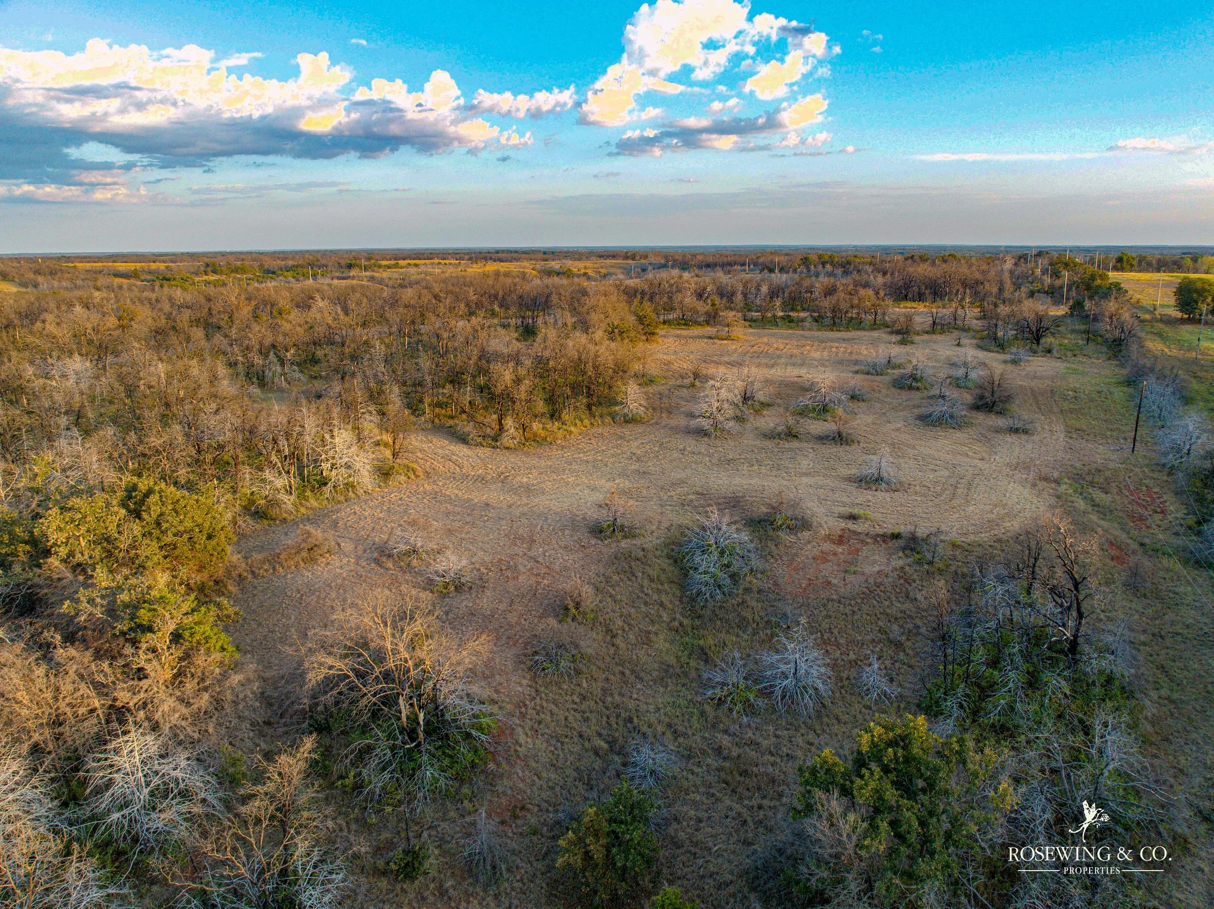 dji_fly_20260910_081734_39_1789057140546_photo.jpeg
