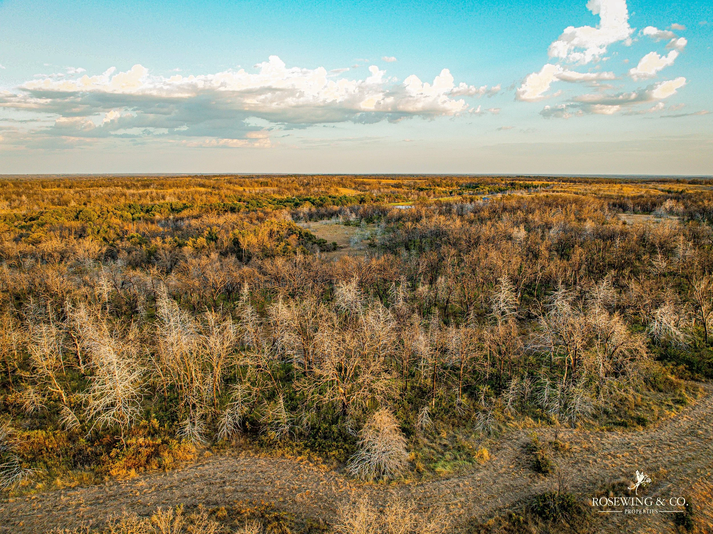 dji_fly_20260910_081918_46_1789057133440_photo.jpeg