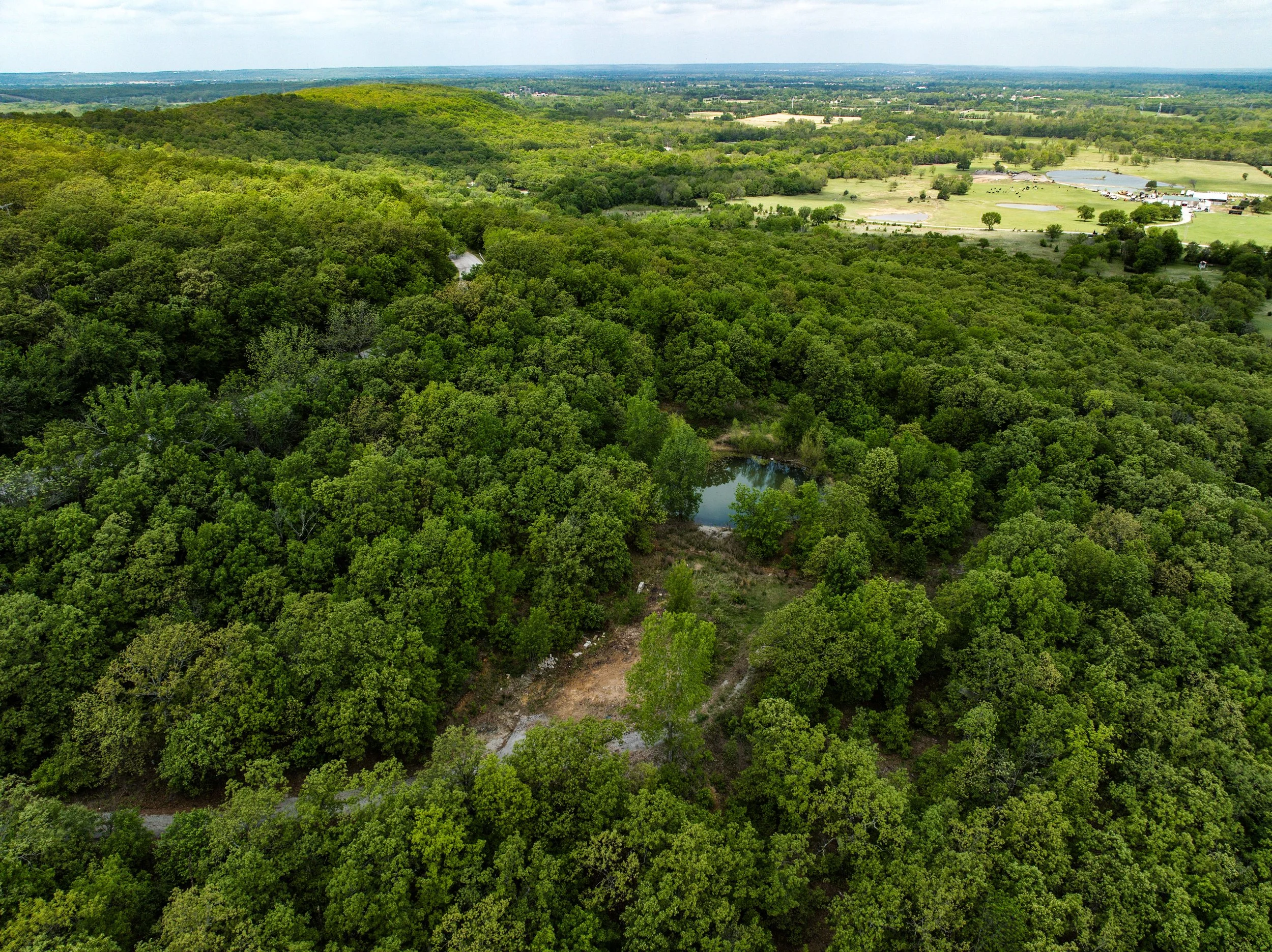 dji_fly_20260415_015706_674_1776284148945_photo.jpg