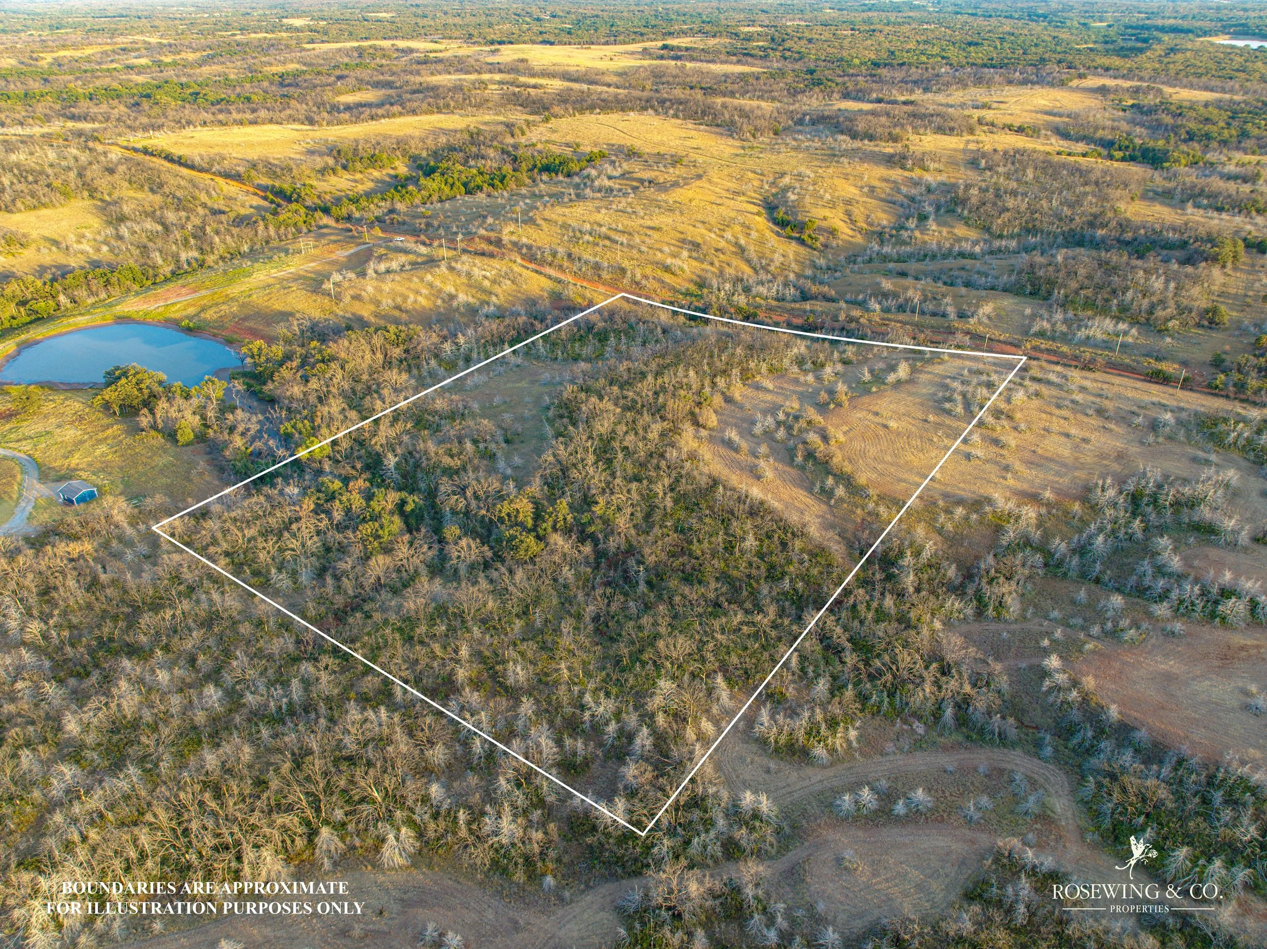 dji_fly_20260910_080638_13_1789057156496_photo.jpeg