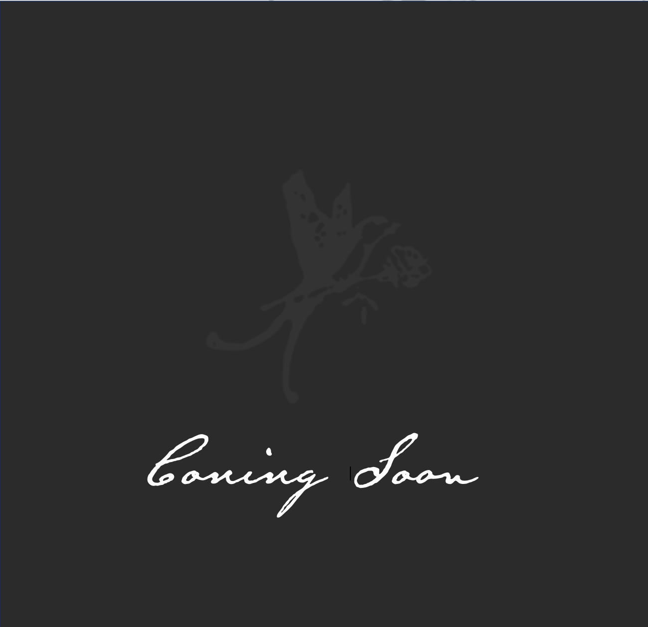 Land For Sale in Oklahoma