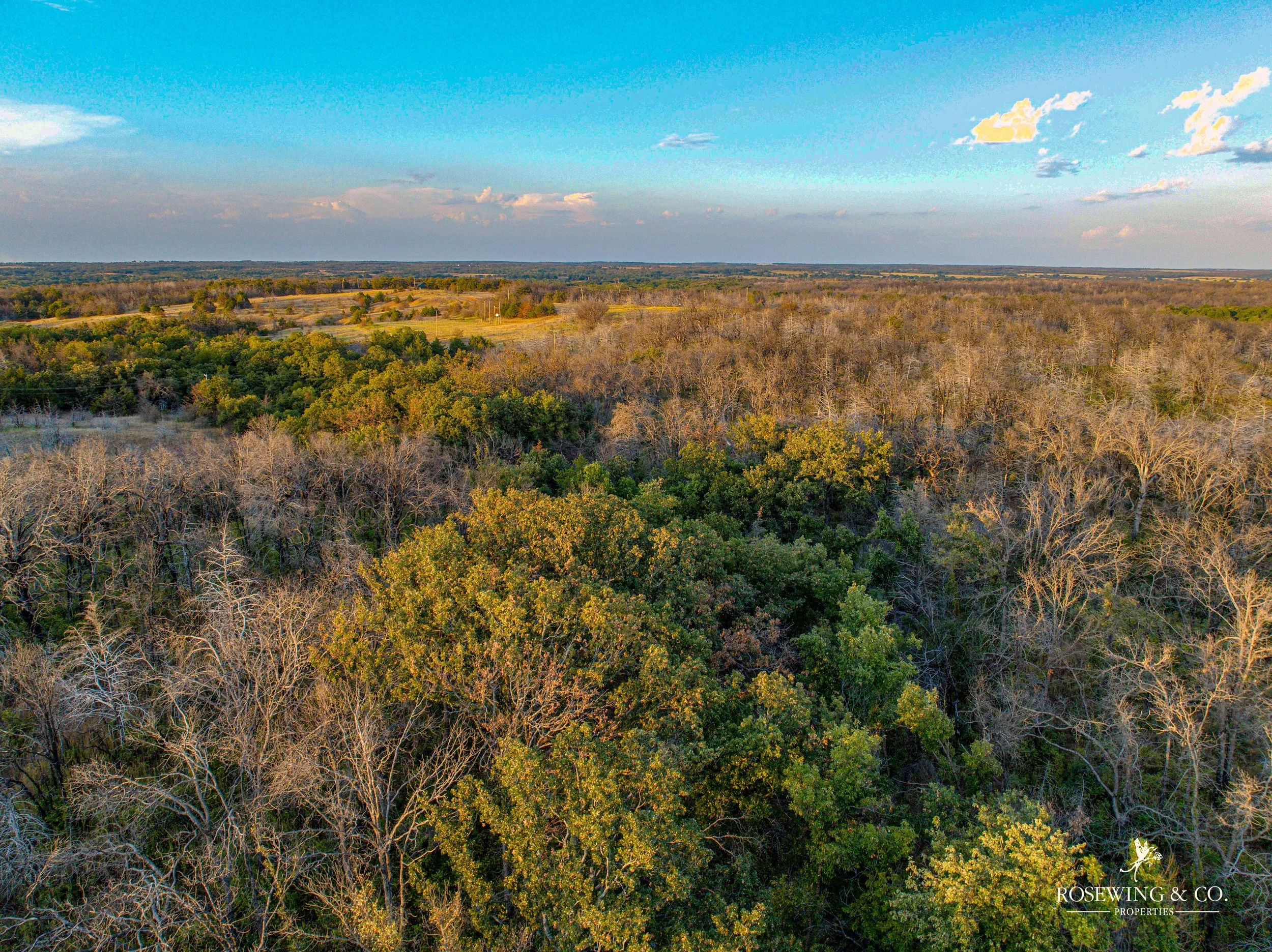 dji_fly_20260910_081742_40_1789057136058_photo.jpeg