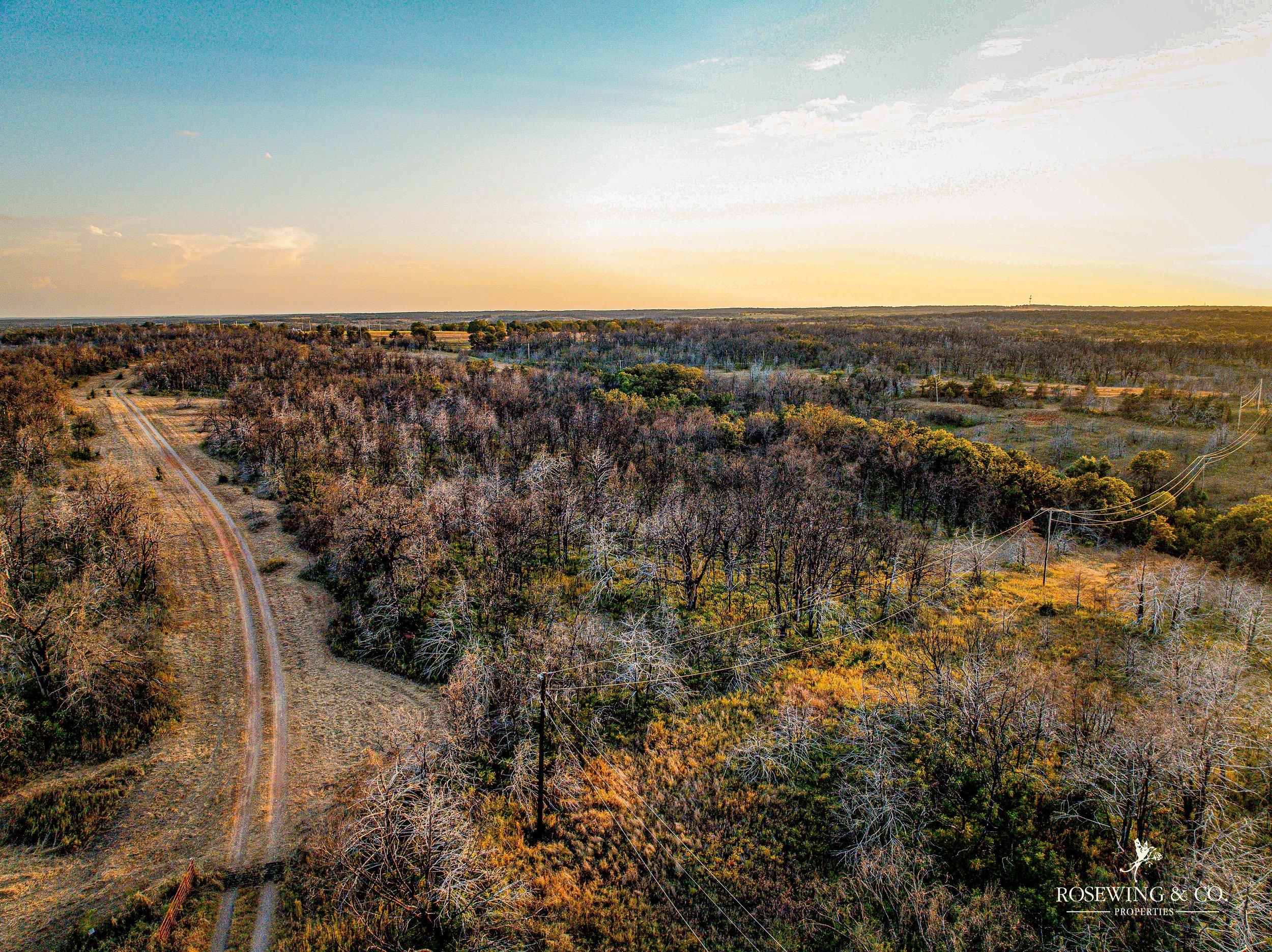 dji_fly_20260910_081848_44_1789057138733_photo.jpeg