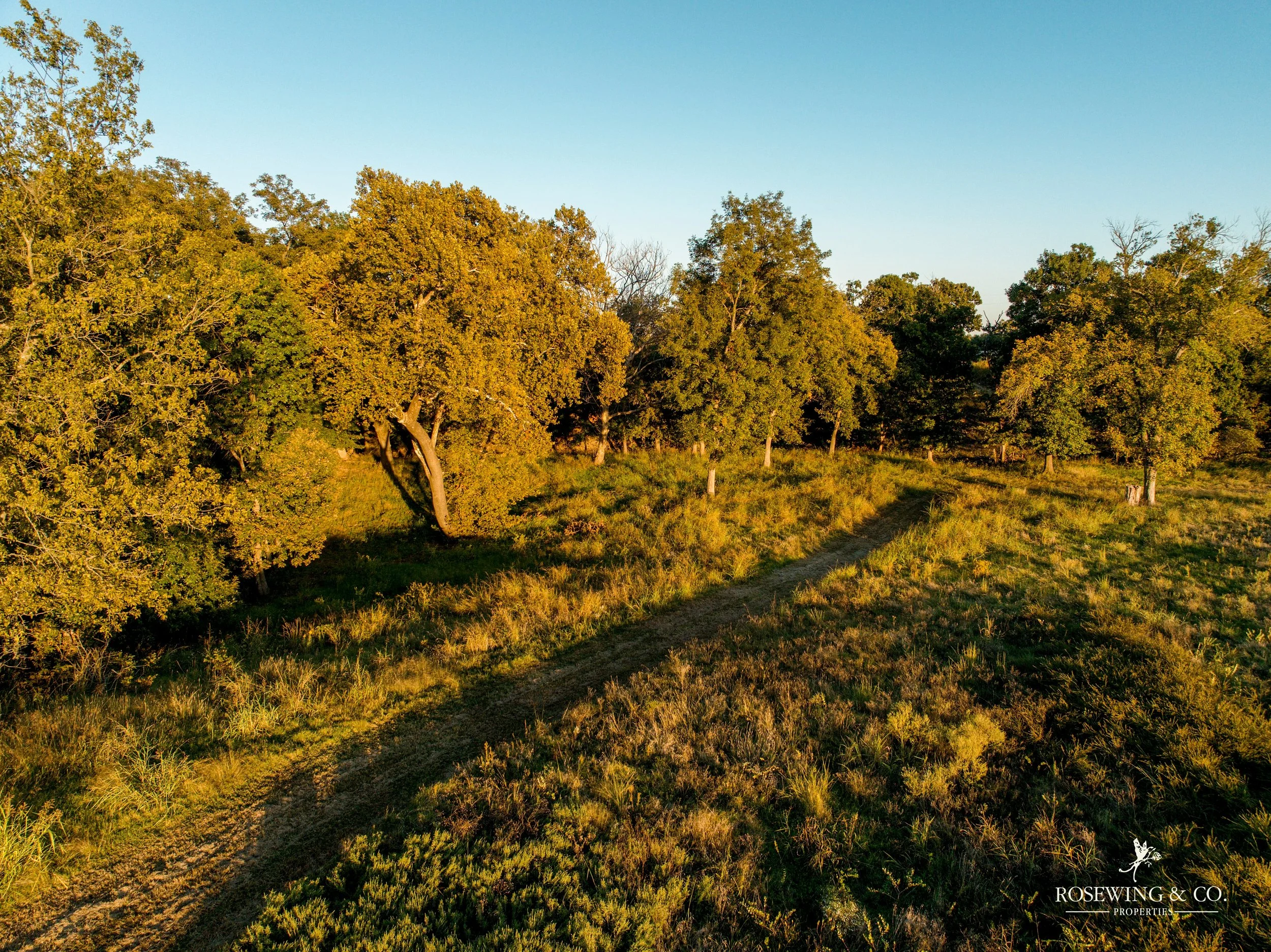 dji_fly_20261009_073216_159_1791929313017_photo.jpeg