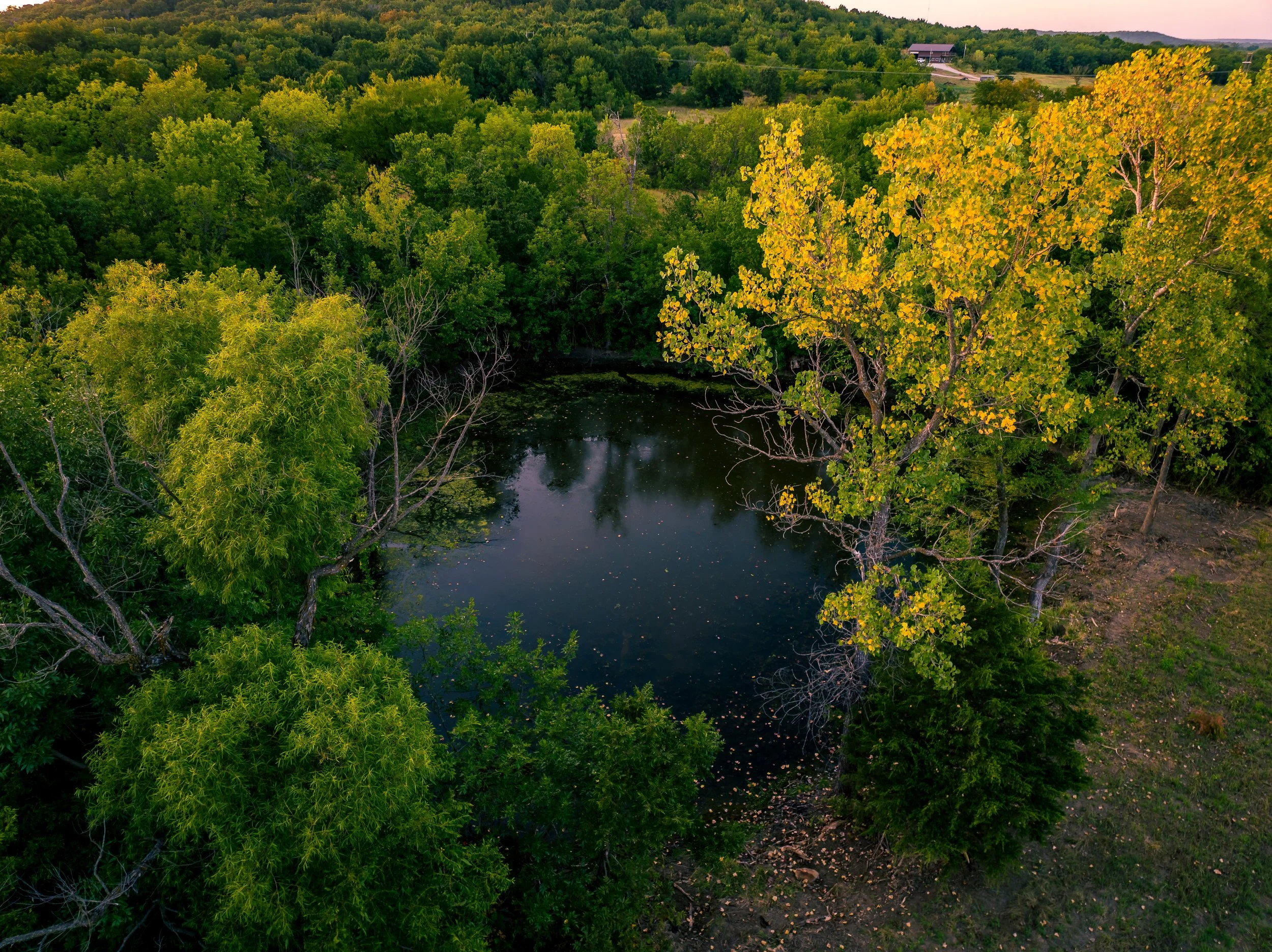 Aerial view of a small pond surrounded by lush green trees and some with yellowing leaves, with a house in the distant background, under a clear sky.