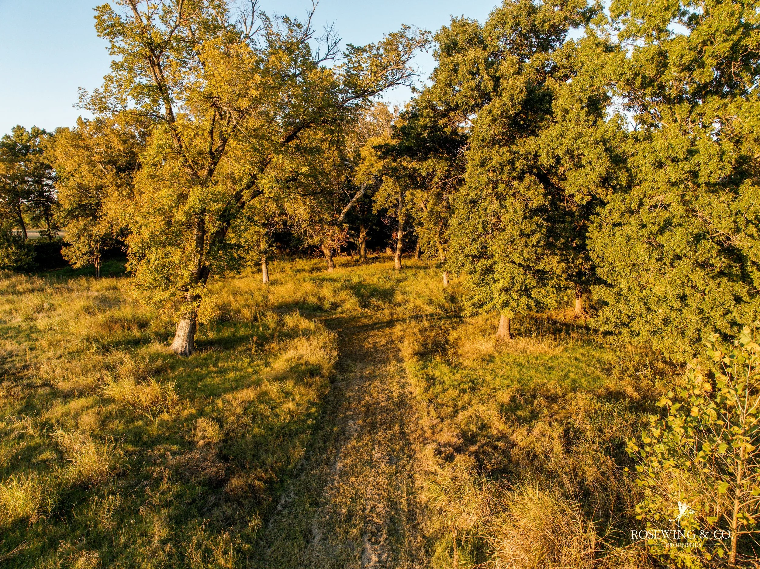 dji_fly_20261009_073252_161_1791929311819_photo.jpeg