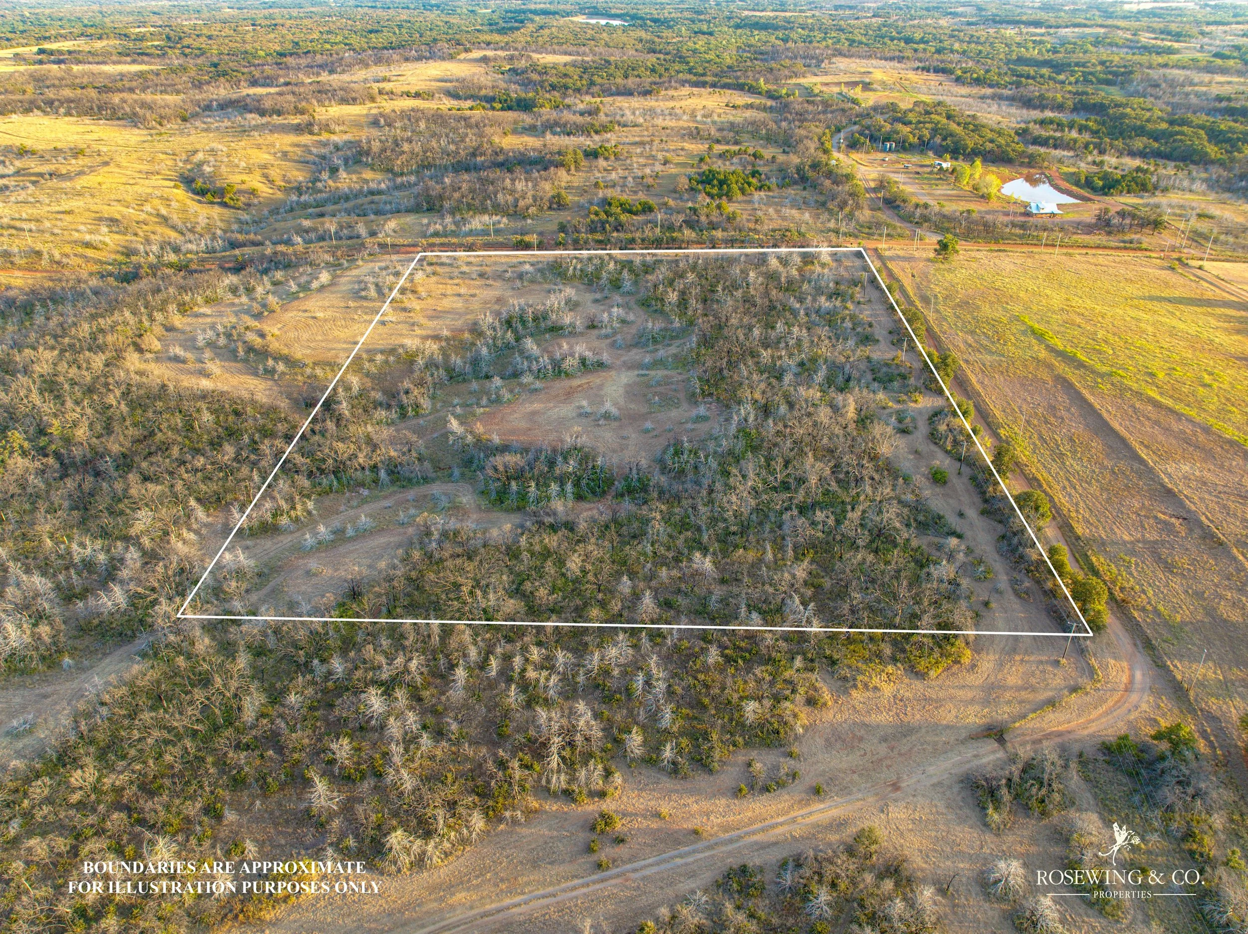 dji_fly_20260910_080822_17_1789057155030_photo.jpeg
