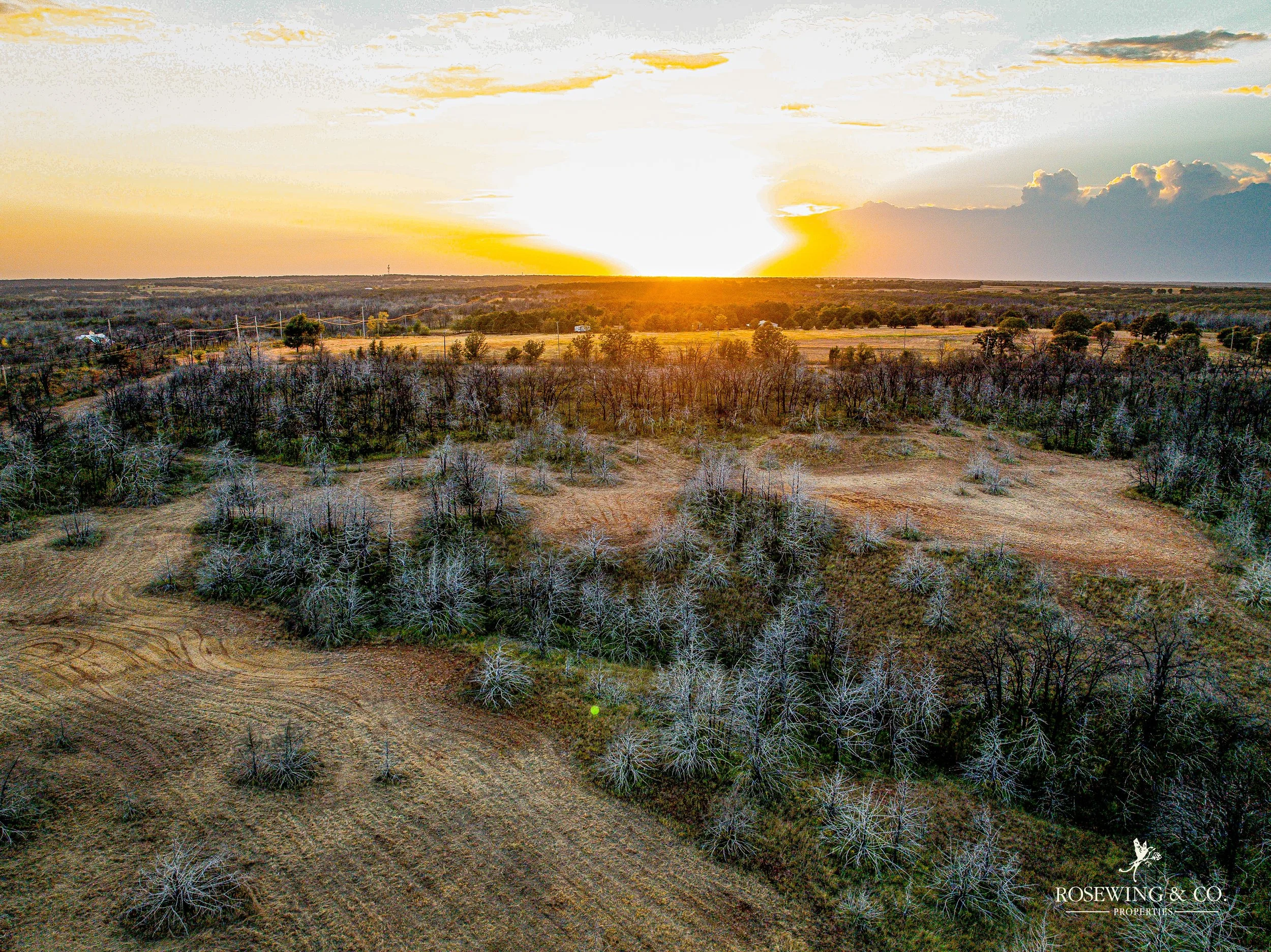 dji_fly_20260910_083008_83_1789057112284_photo.jpeg