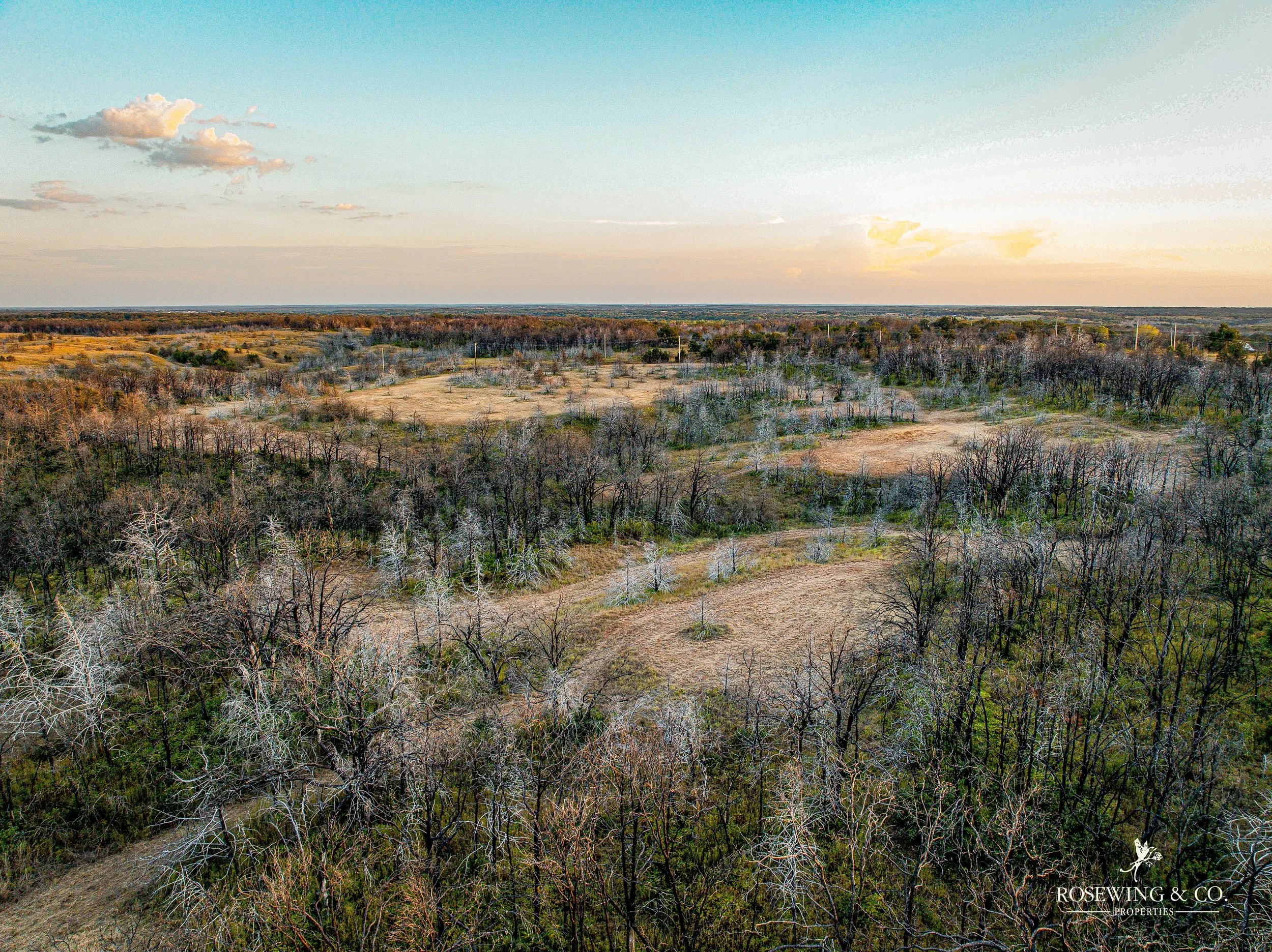 dji_fly_20260910_082836_77_1789057116201_photo.jpeg