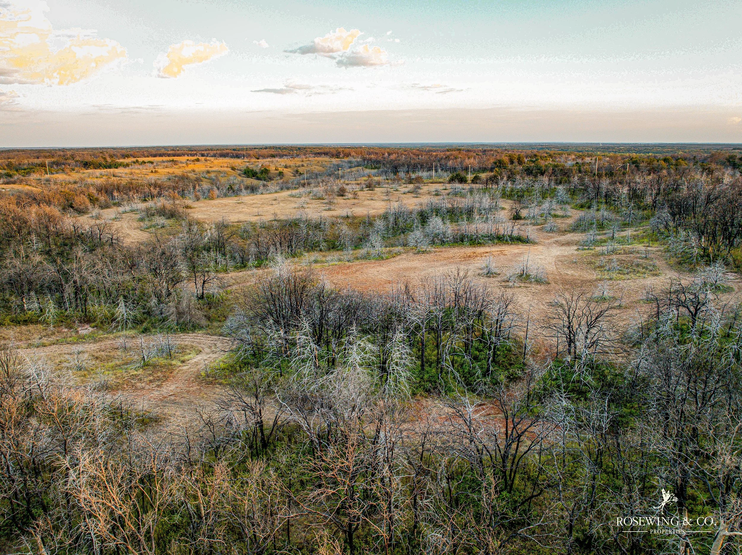 dji_fly_20260910_082848_78_1789057116841_photo.jpeg
