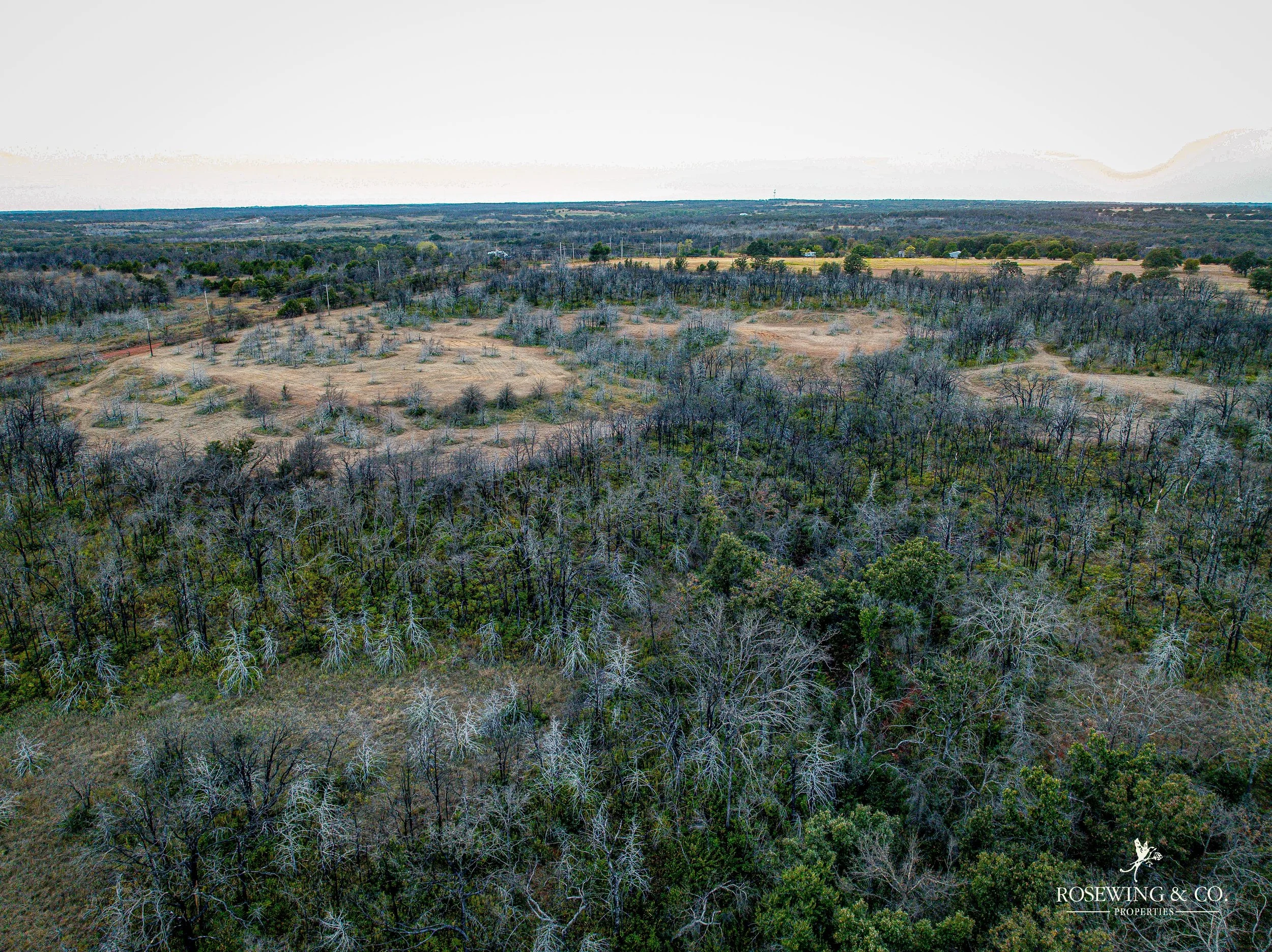 dji_fly_20260910_083418_92_1789057106457_photo.jpeg