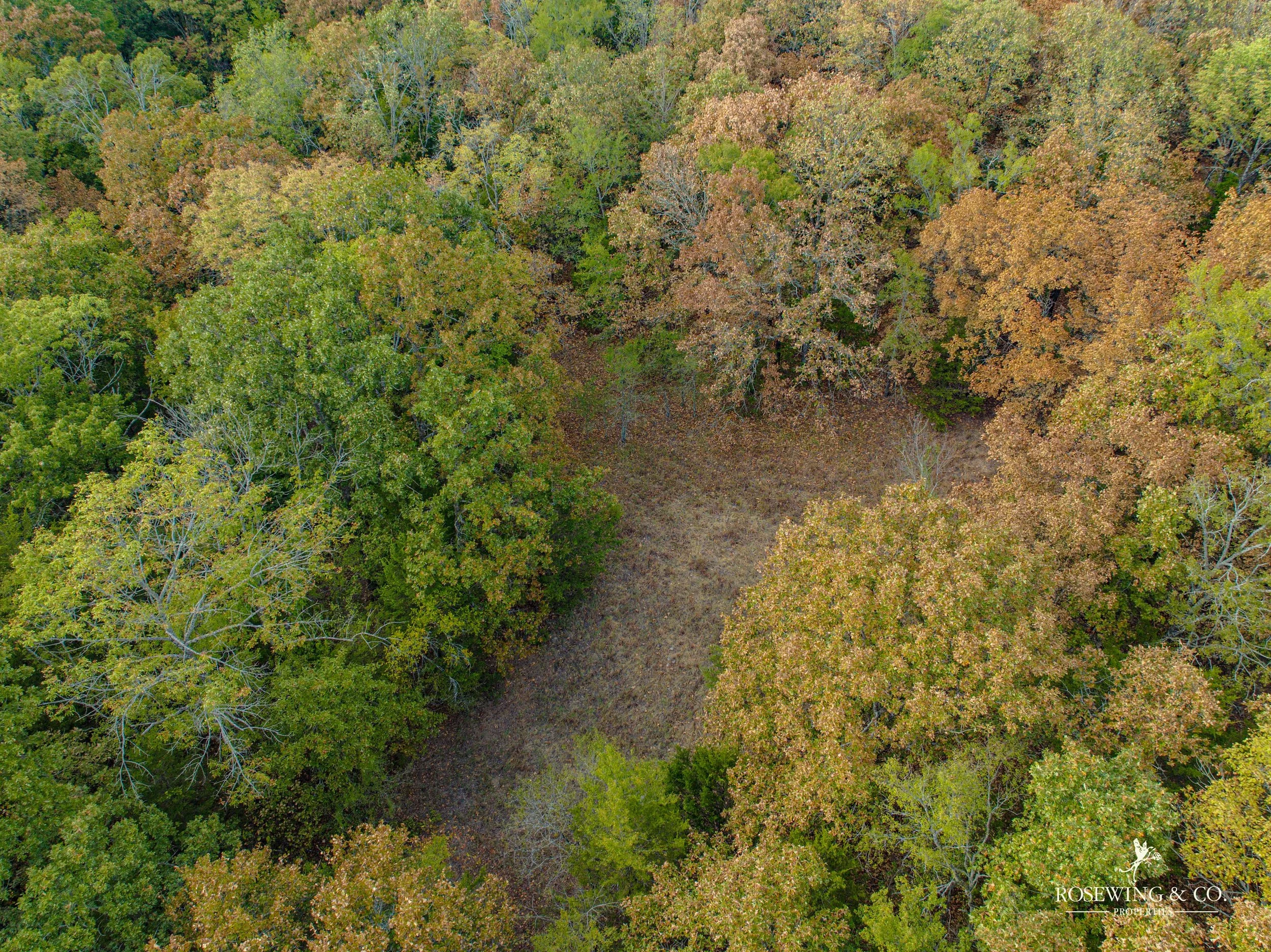 dji_fly_20260827_064538_971_1788286273124_photo 2.jpeg