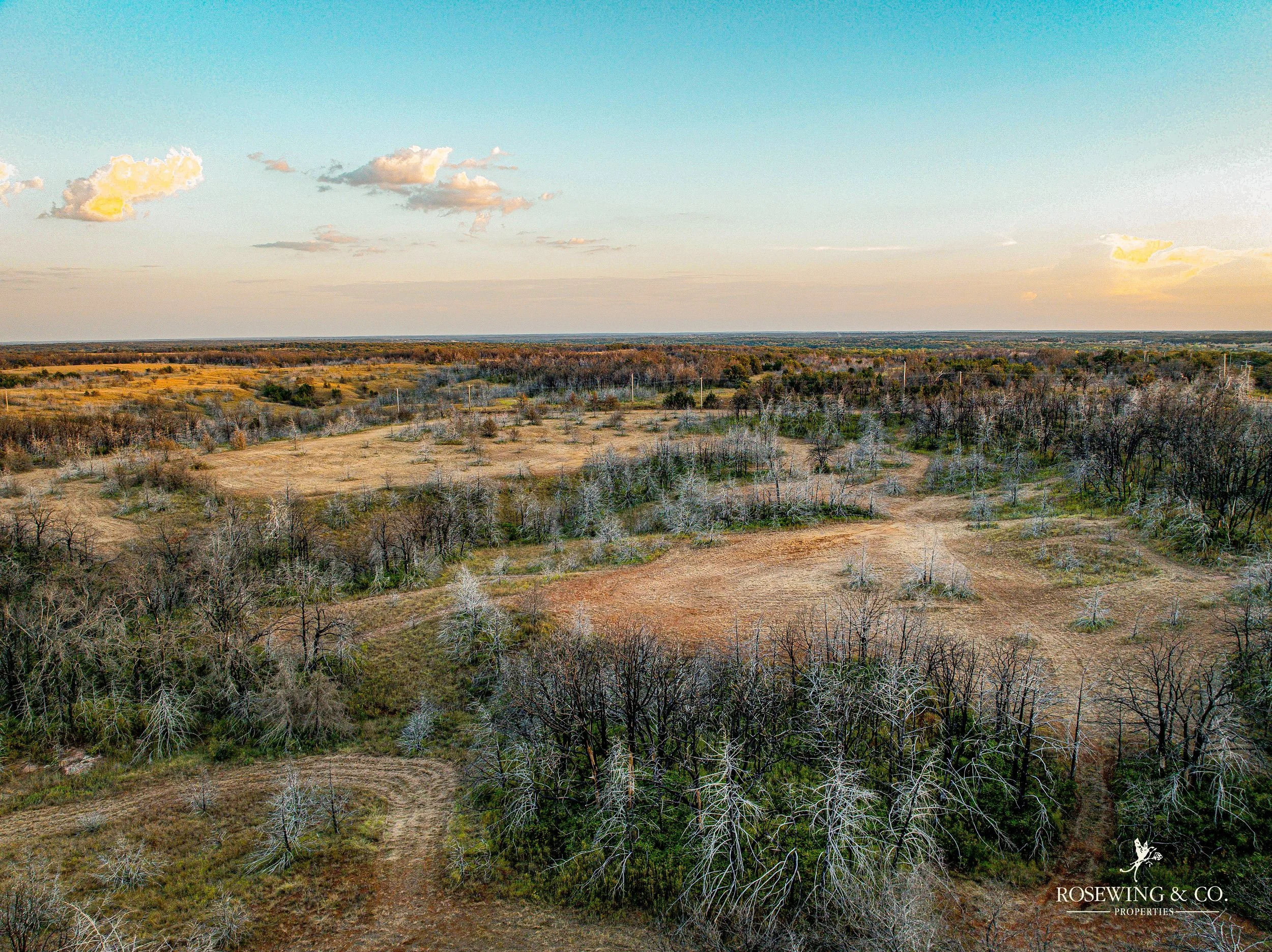 dji_fly_20260910_082754_75_1789057114833_photo.jpeg