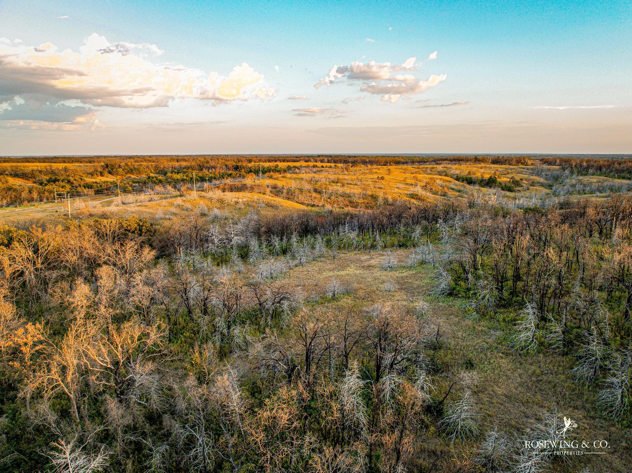 dji_fly_20260910_082426_62_1789057125267_photo.jpeg