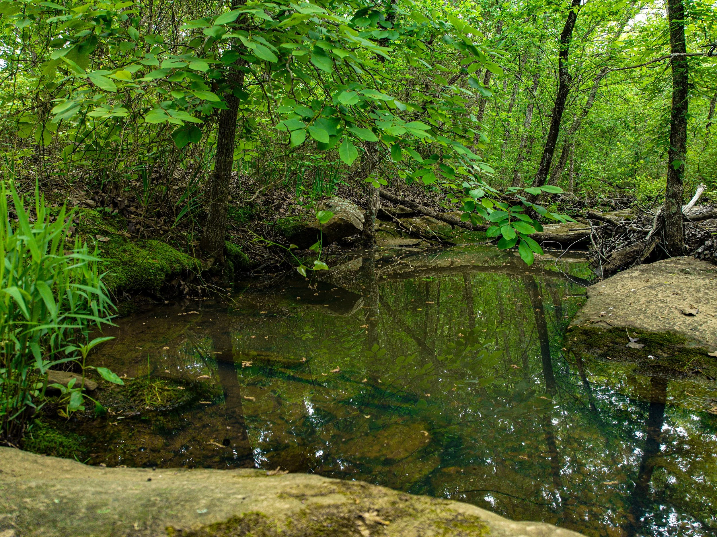 dji_fly_20260424_005758_755_1777301970286_photo 2.jpg