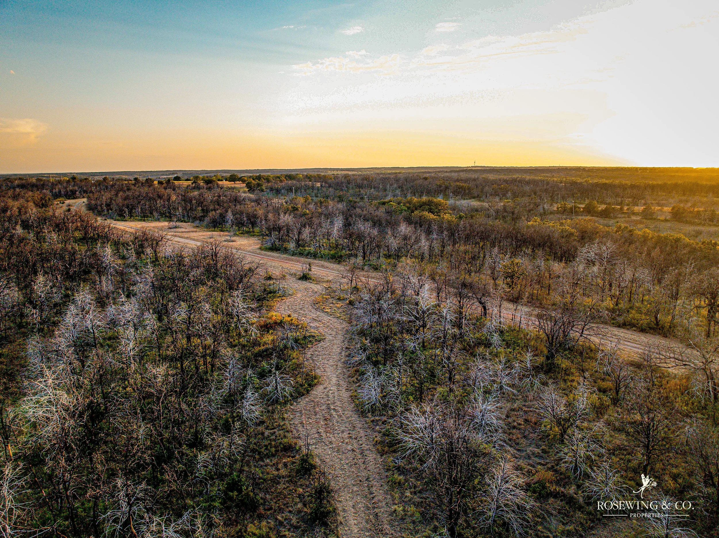 dji_fly_20260910_081902_45_1789057132083_photo.jpeg