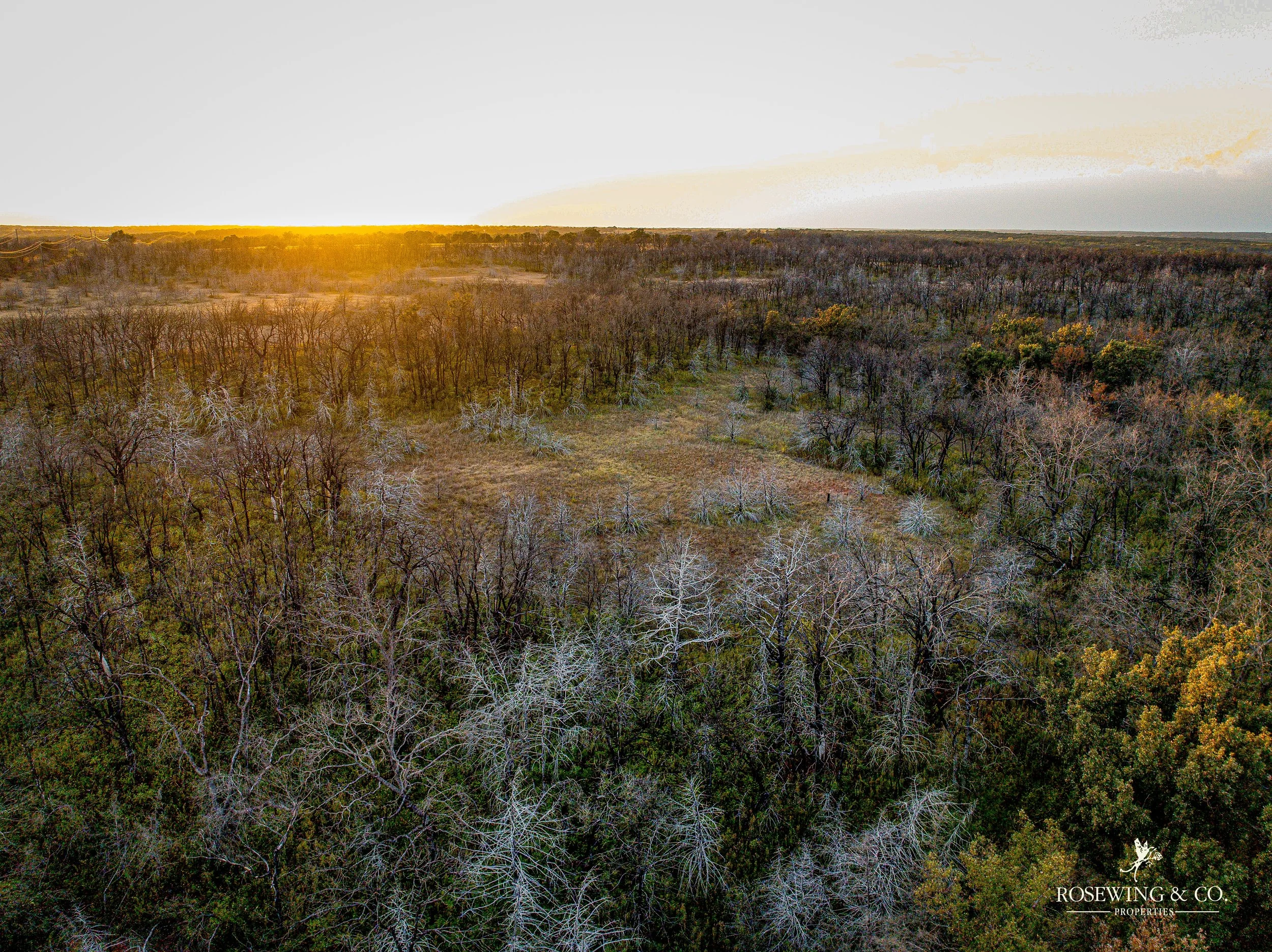 dji_fly_20260910_082352_59_1789057128164_photo.jpeg