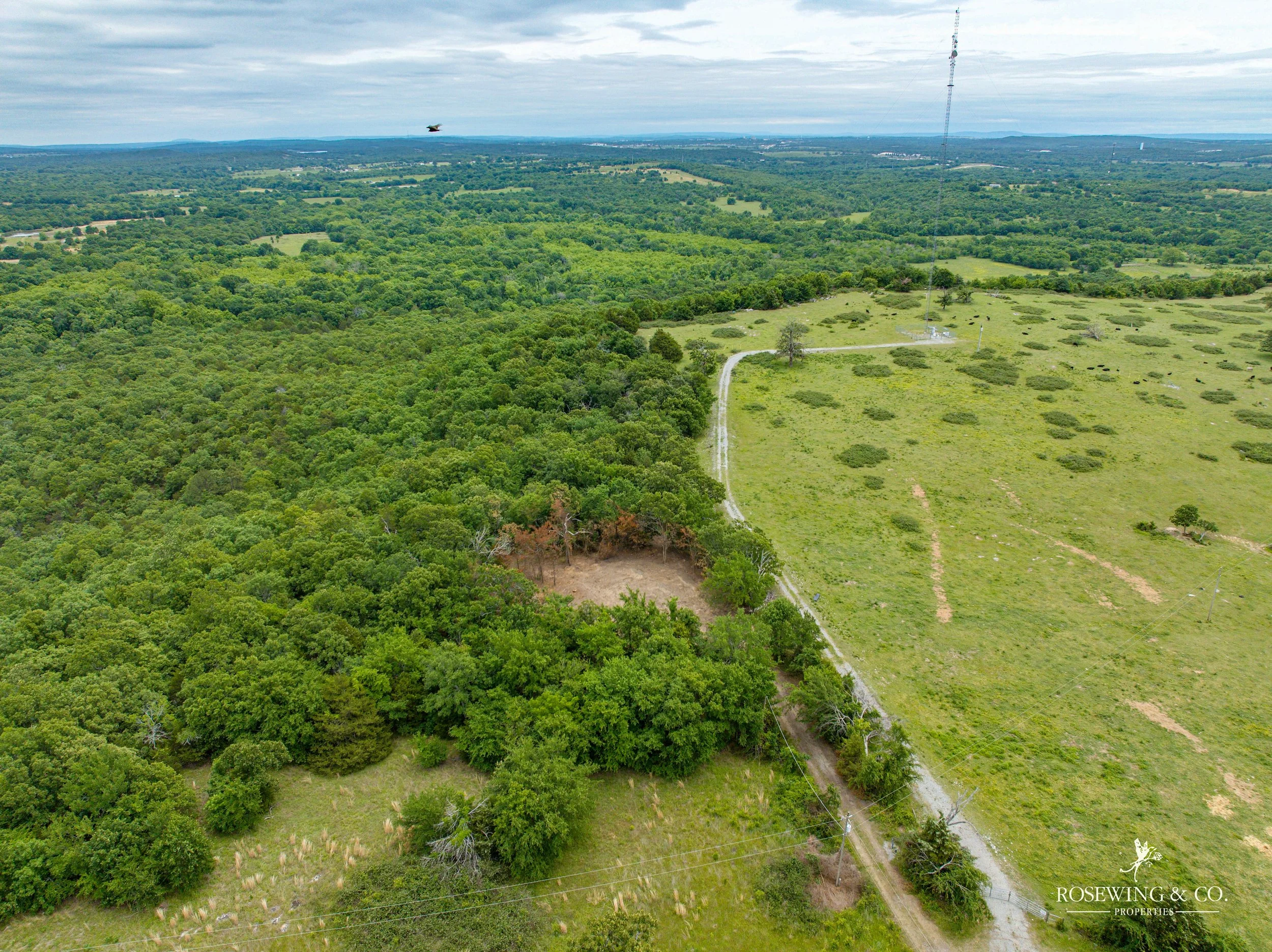 dji_fly_20260507_031104_853_1778179647754_photo.jpg