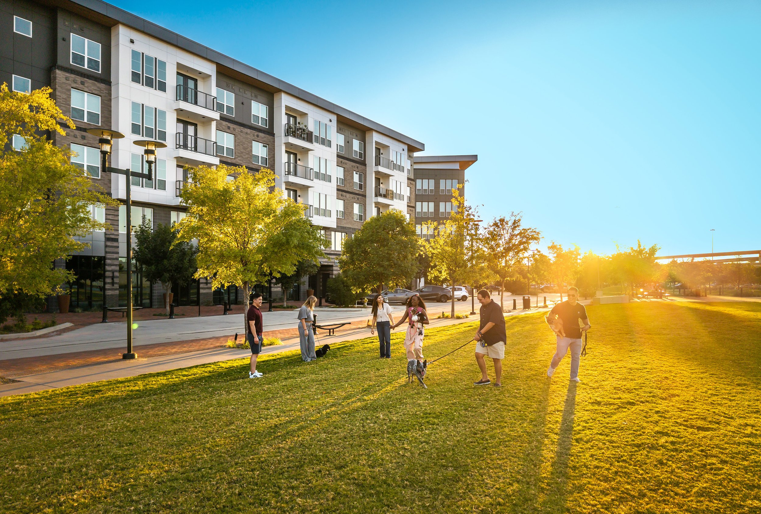 Six people with dogs play together on a grassy lawn in front of modern apartment buildings and trees, with bright sunlight casting long shadows in the late afternoon.