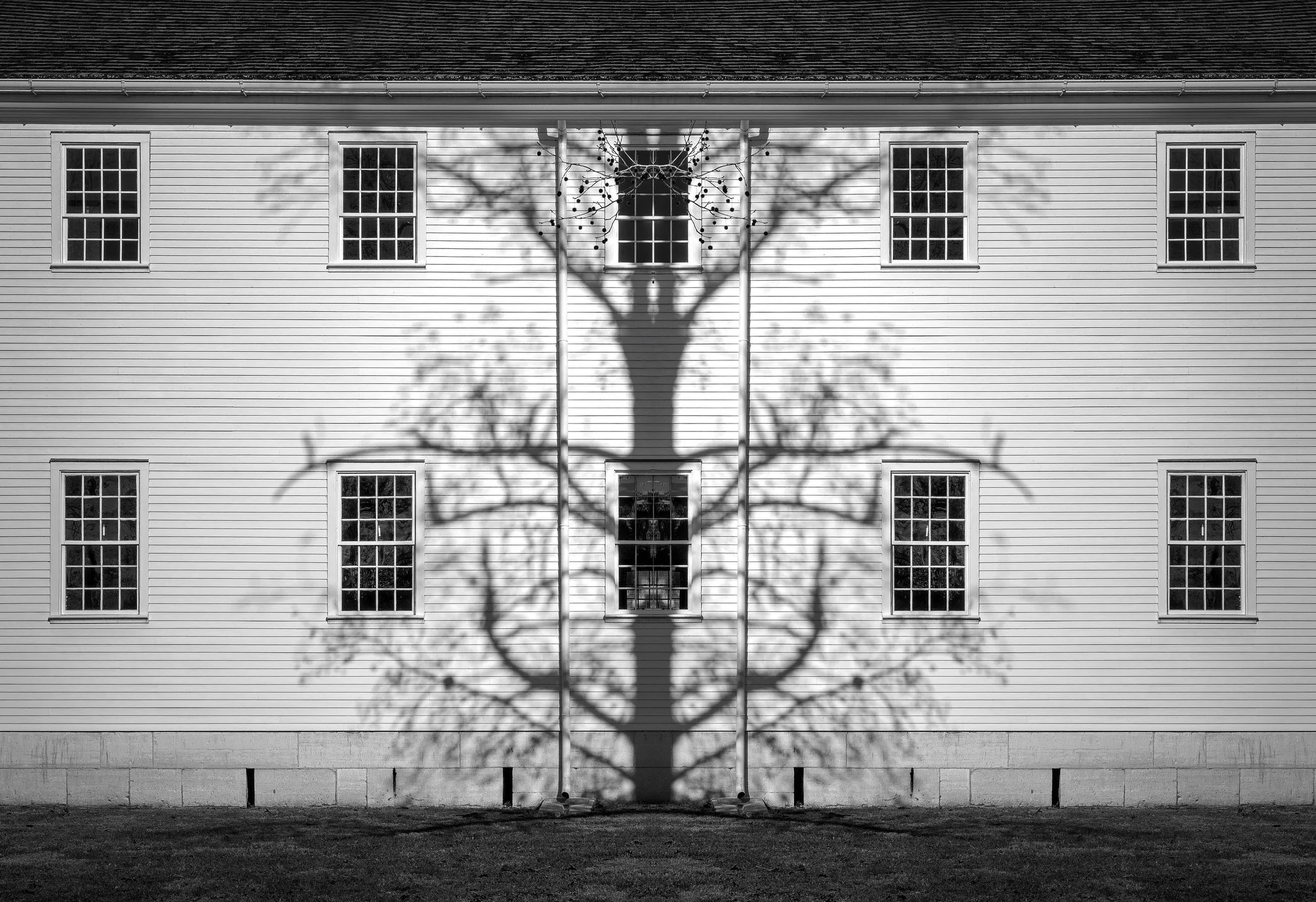 Shadow of a bare tree cast on the white Shaker-style building exterior, with multiple windows creating a serene compostion.