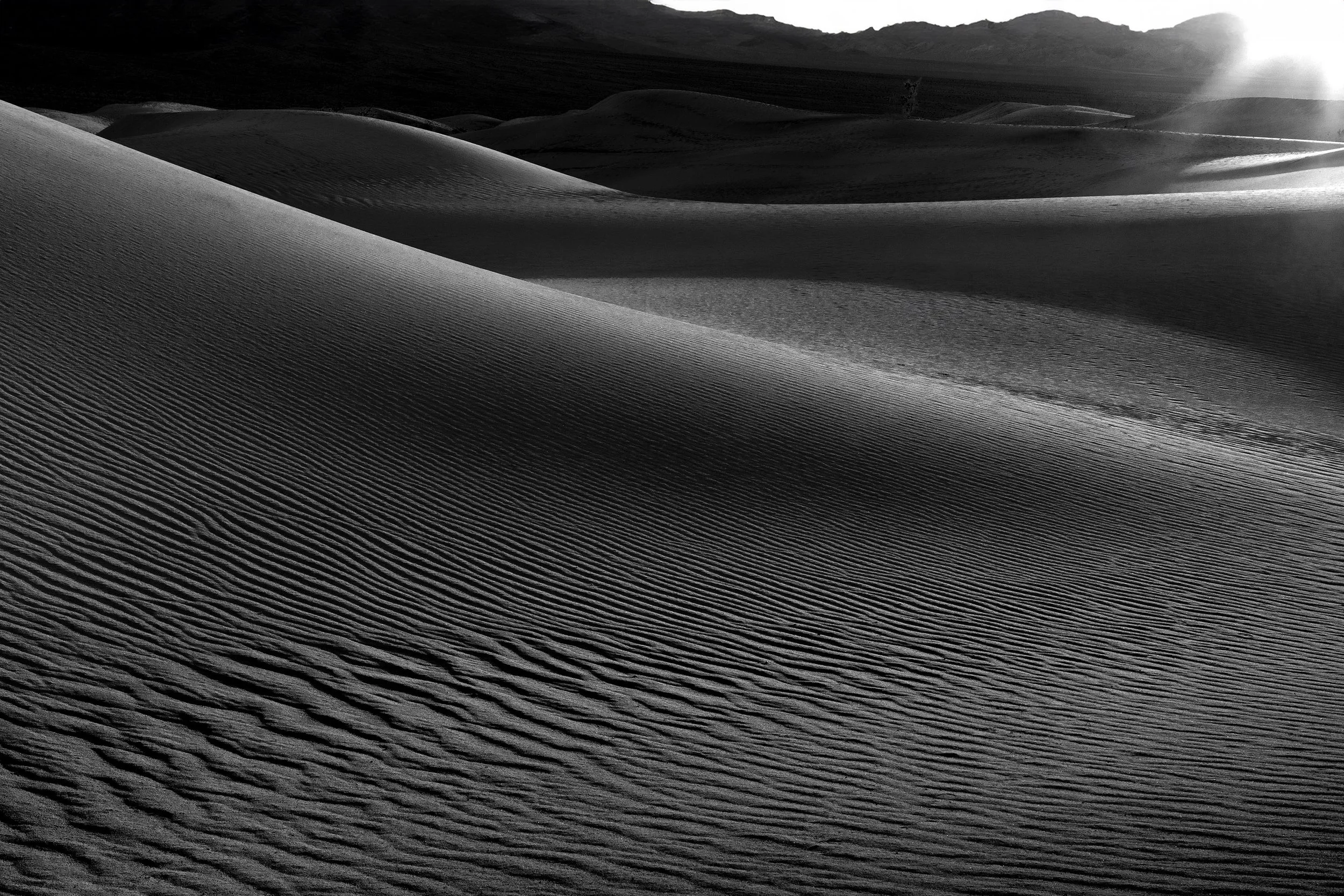 Black and white art photograph of desert sand dunes with textured ripples, sunlight gently highlighting the landscape’s graceful curves.