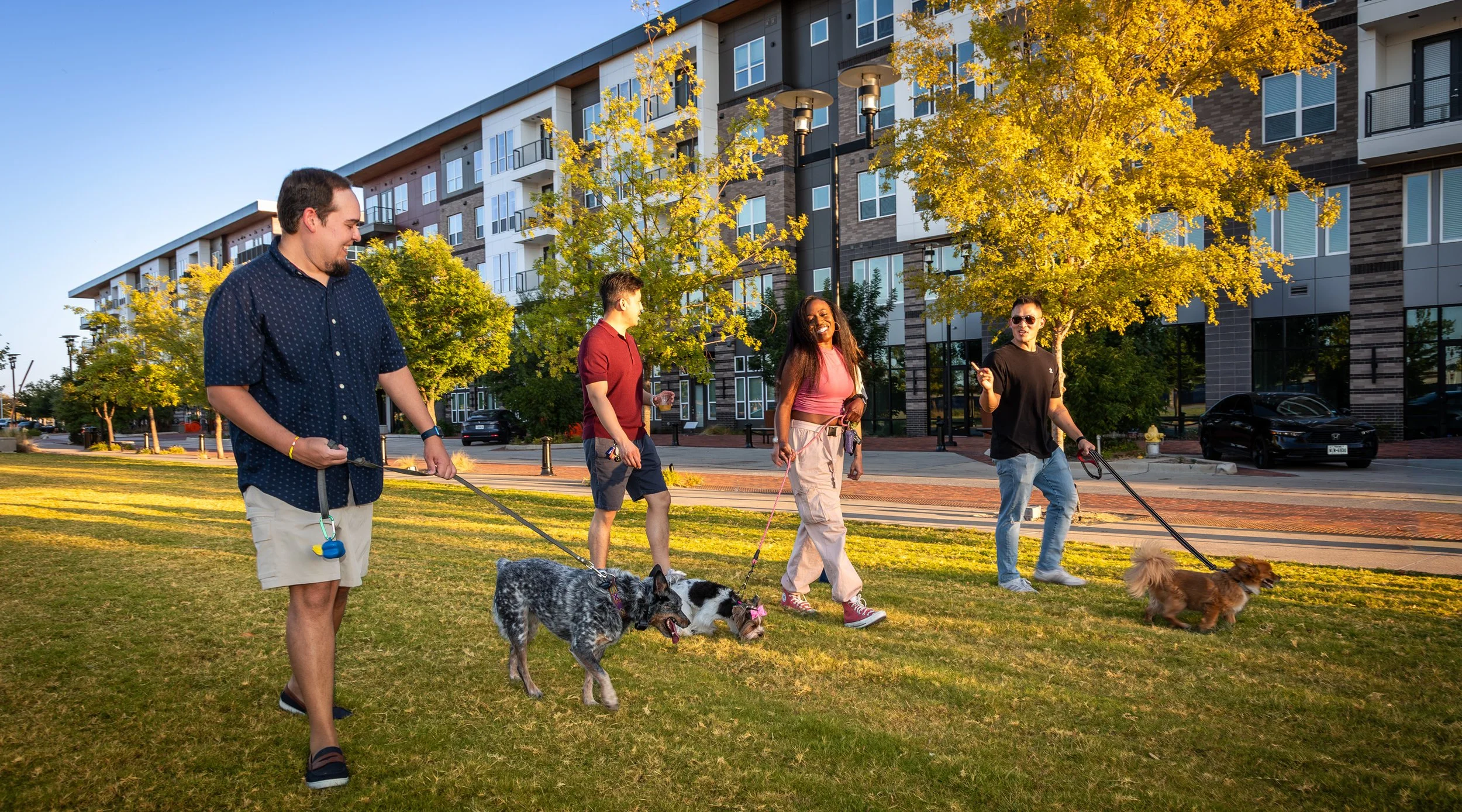 Four people walking dogs in a park with trees and an apartment building in the background during sunset at an upscale apartment community in Dallas, Texas.