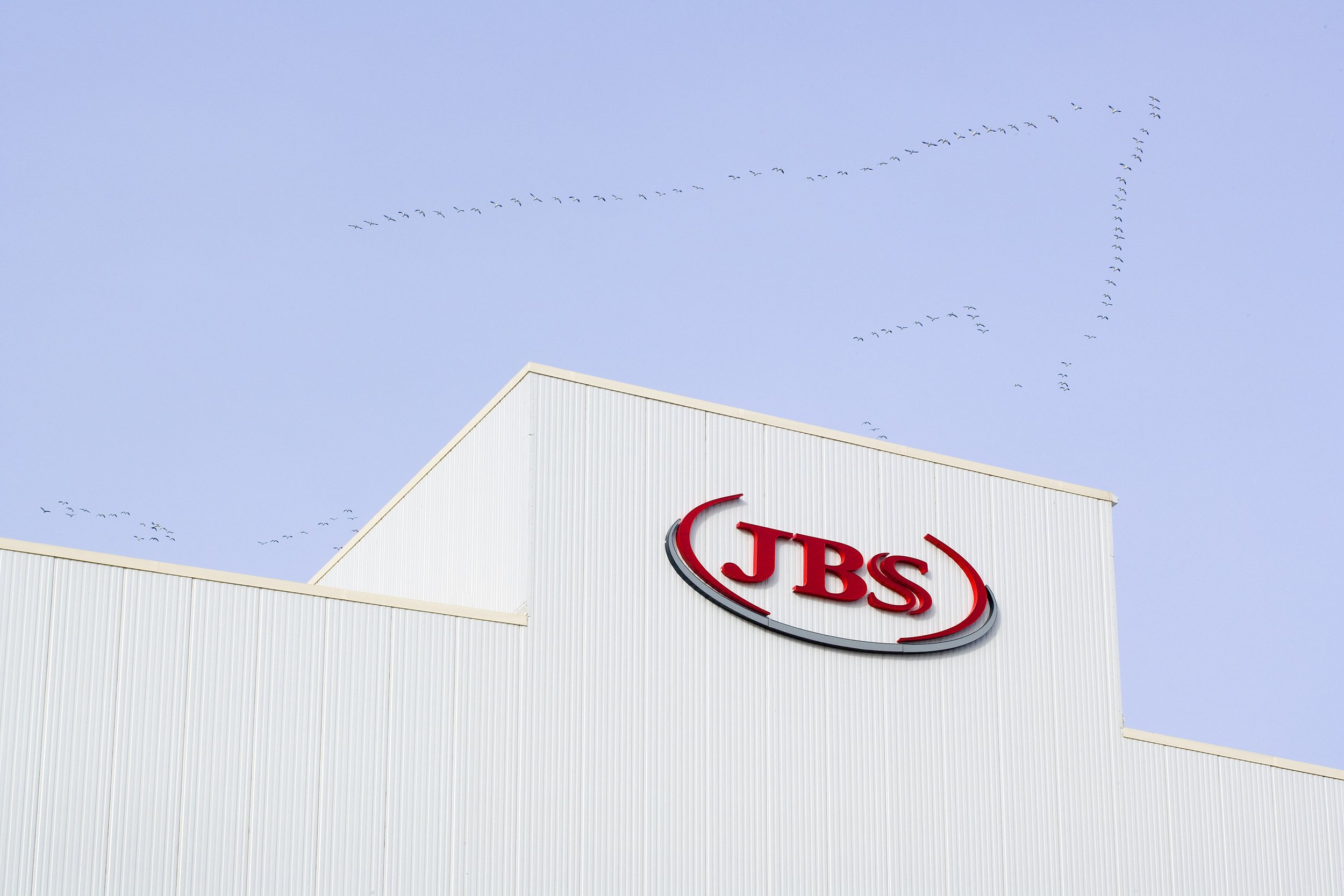 White building with red JBS logo; a photography project captures birds flying in a V-formation against the clear blue sky above.