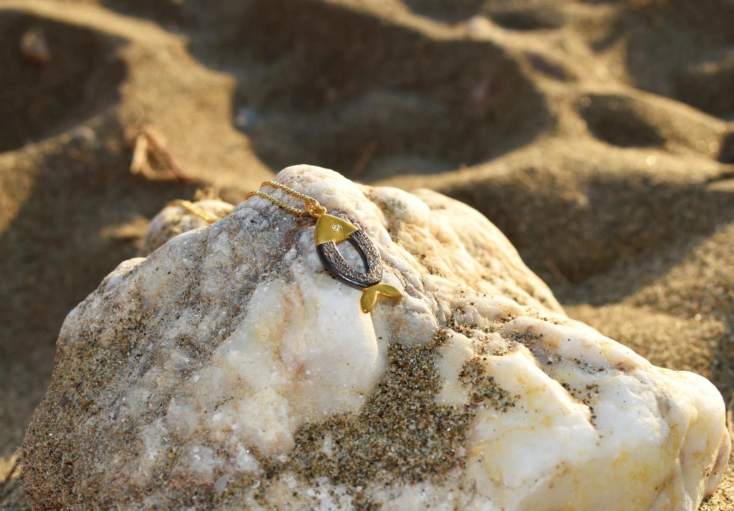 gold fish-beach DSC_4267.jpg