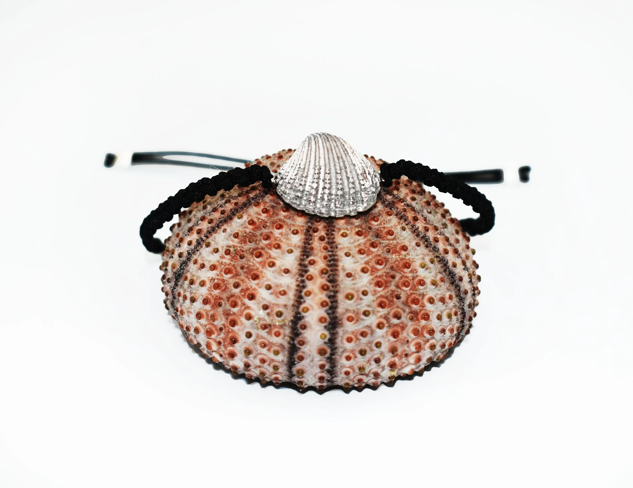 small shell bracelet platinum-DSC_4914.jpg