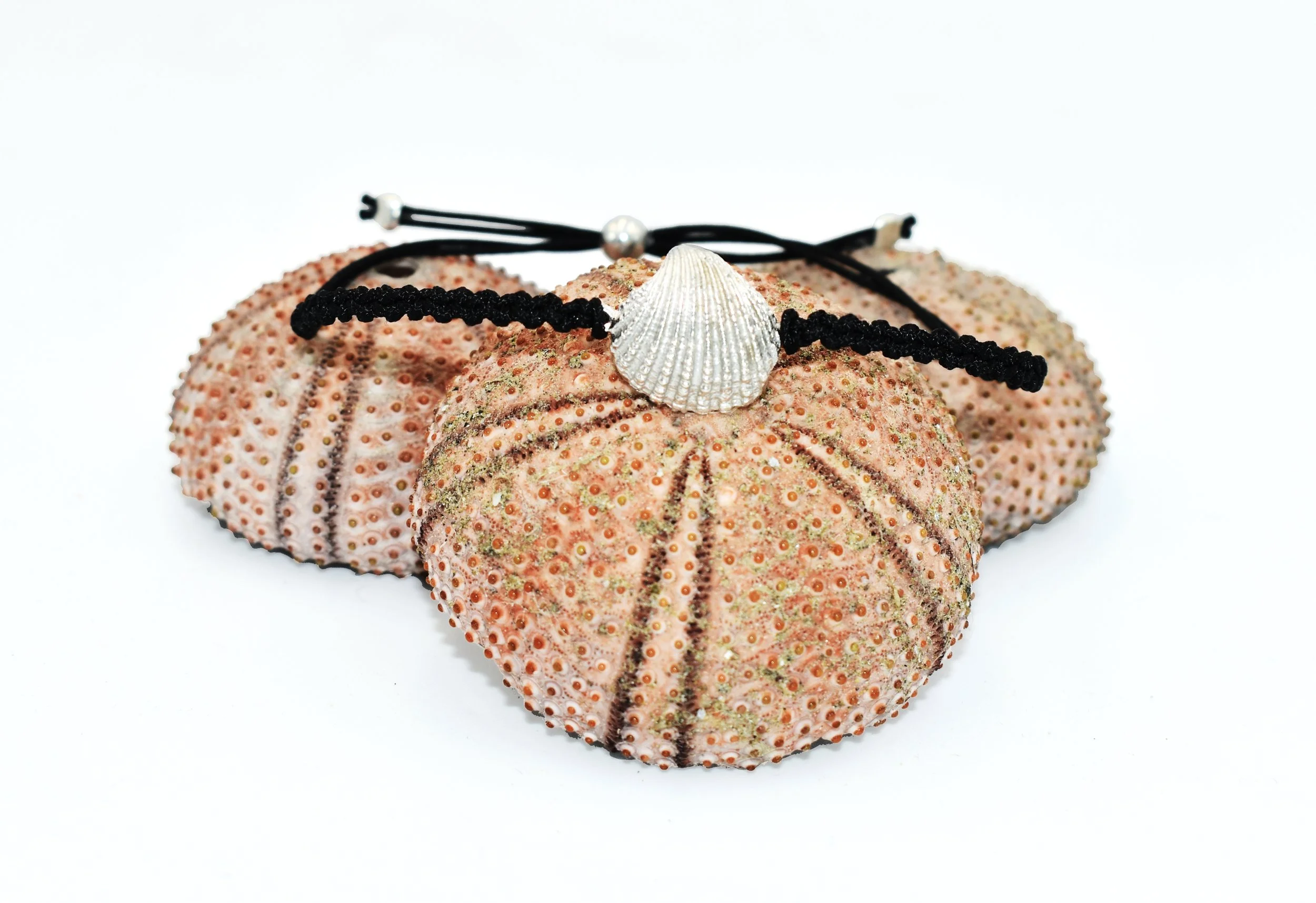 small shell bracelet platinum-DSC_4840.jpg
