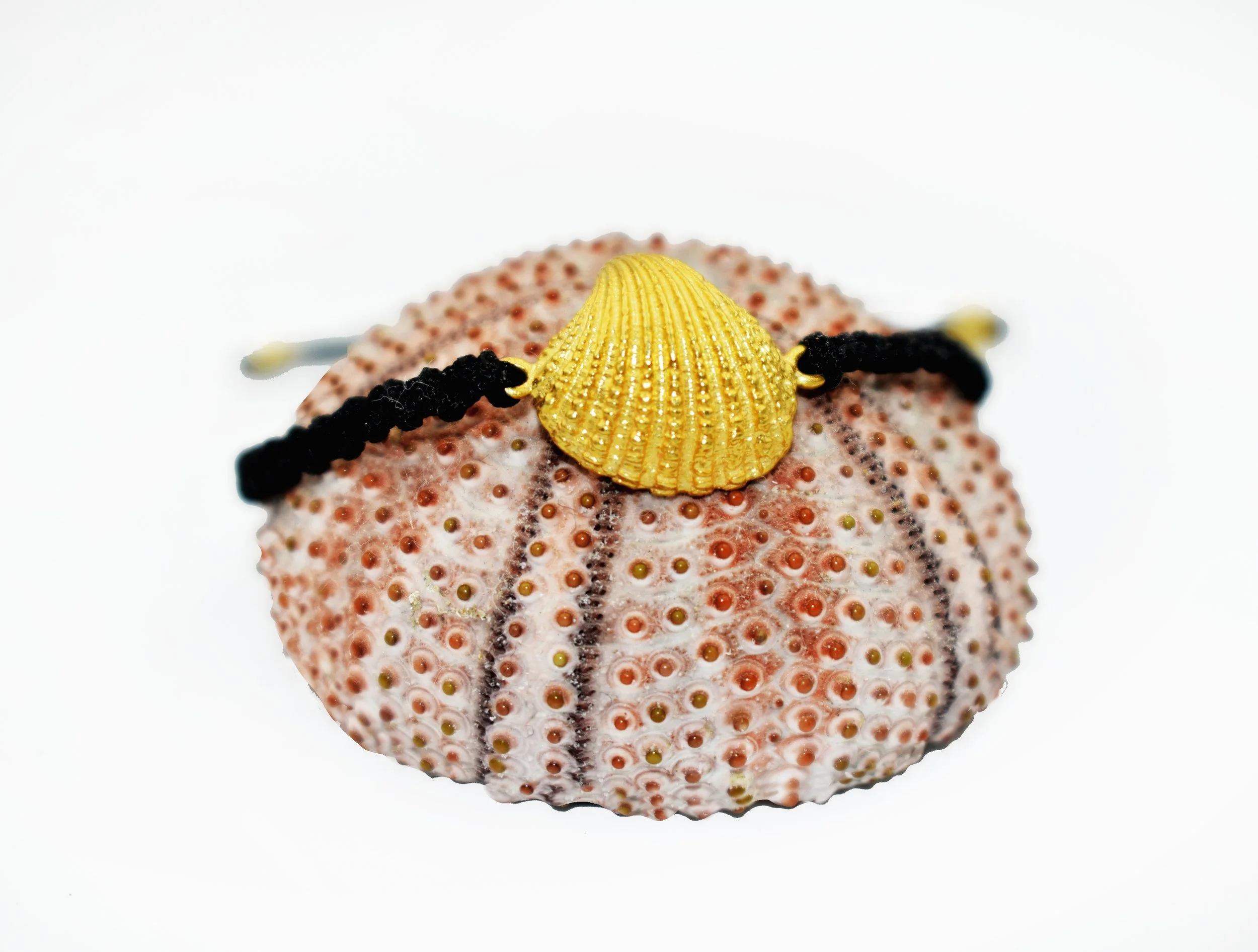 small shell bracelet gold-DSC_4921.jpg
