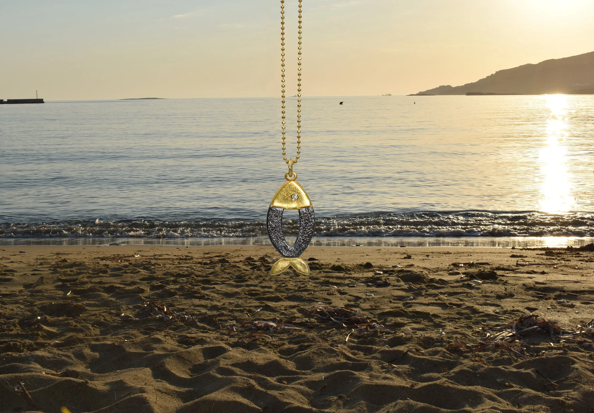 gold fish-beach DSC_4259.jpg