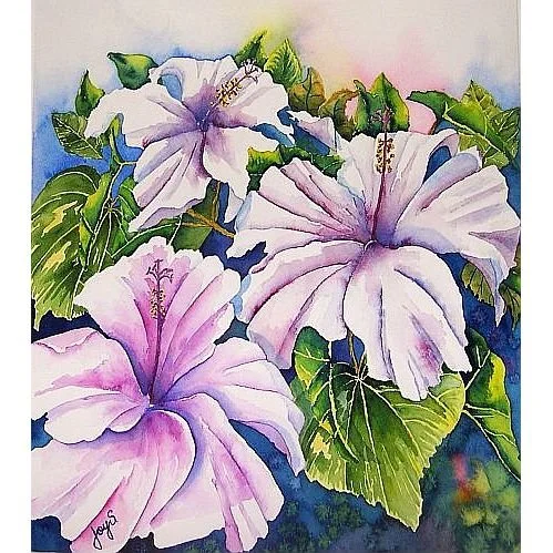 Summer Dream