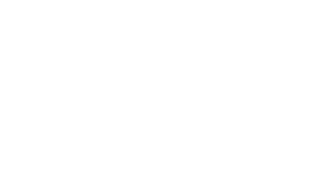 Spokane International Film Festival - Official  Selection - 2007.png