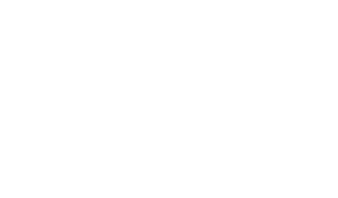 Reeling Chicago - Official  Selection - 2007.png