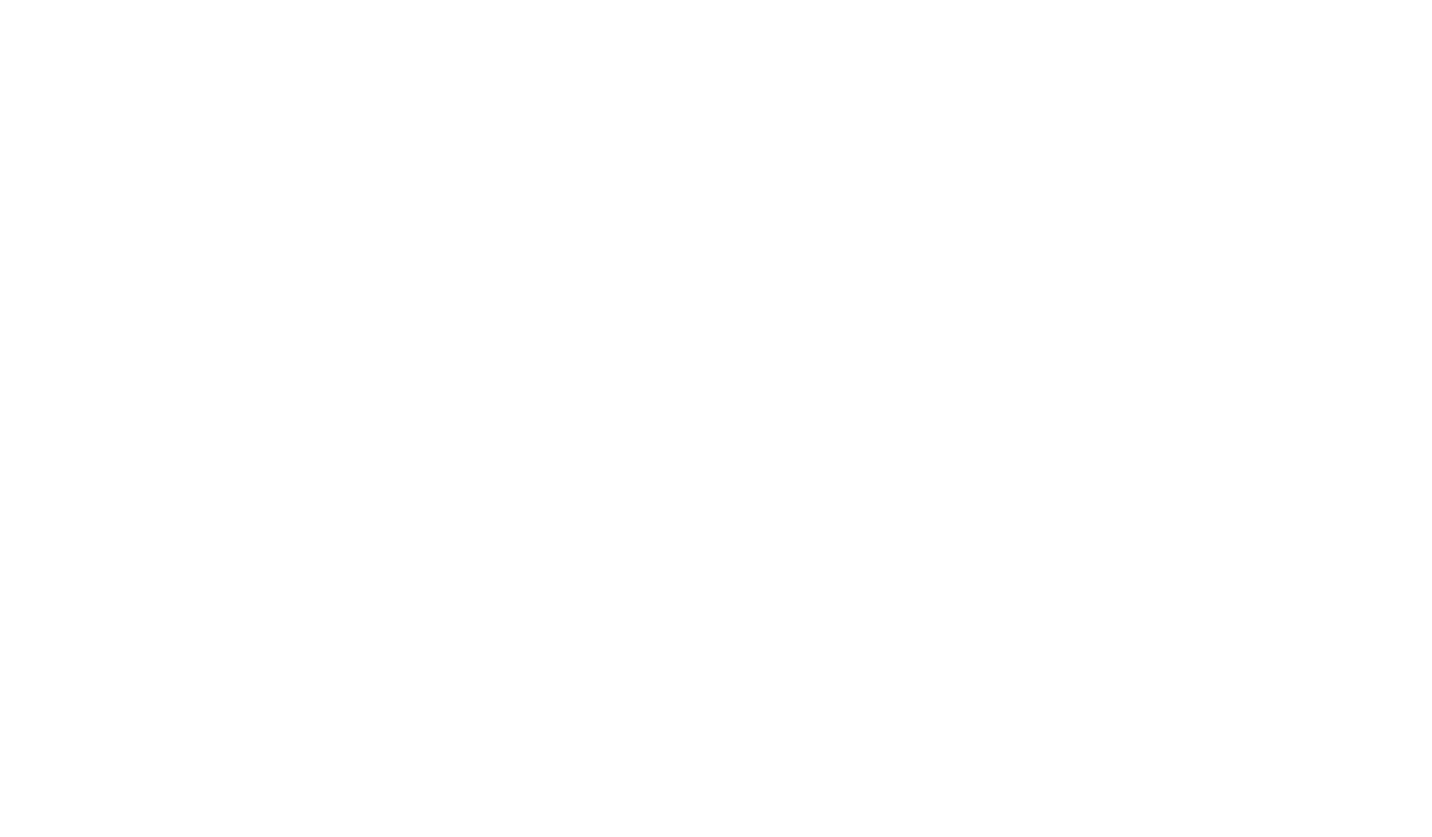 Idaho International Film Festival - Official Selection - 2006.png