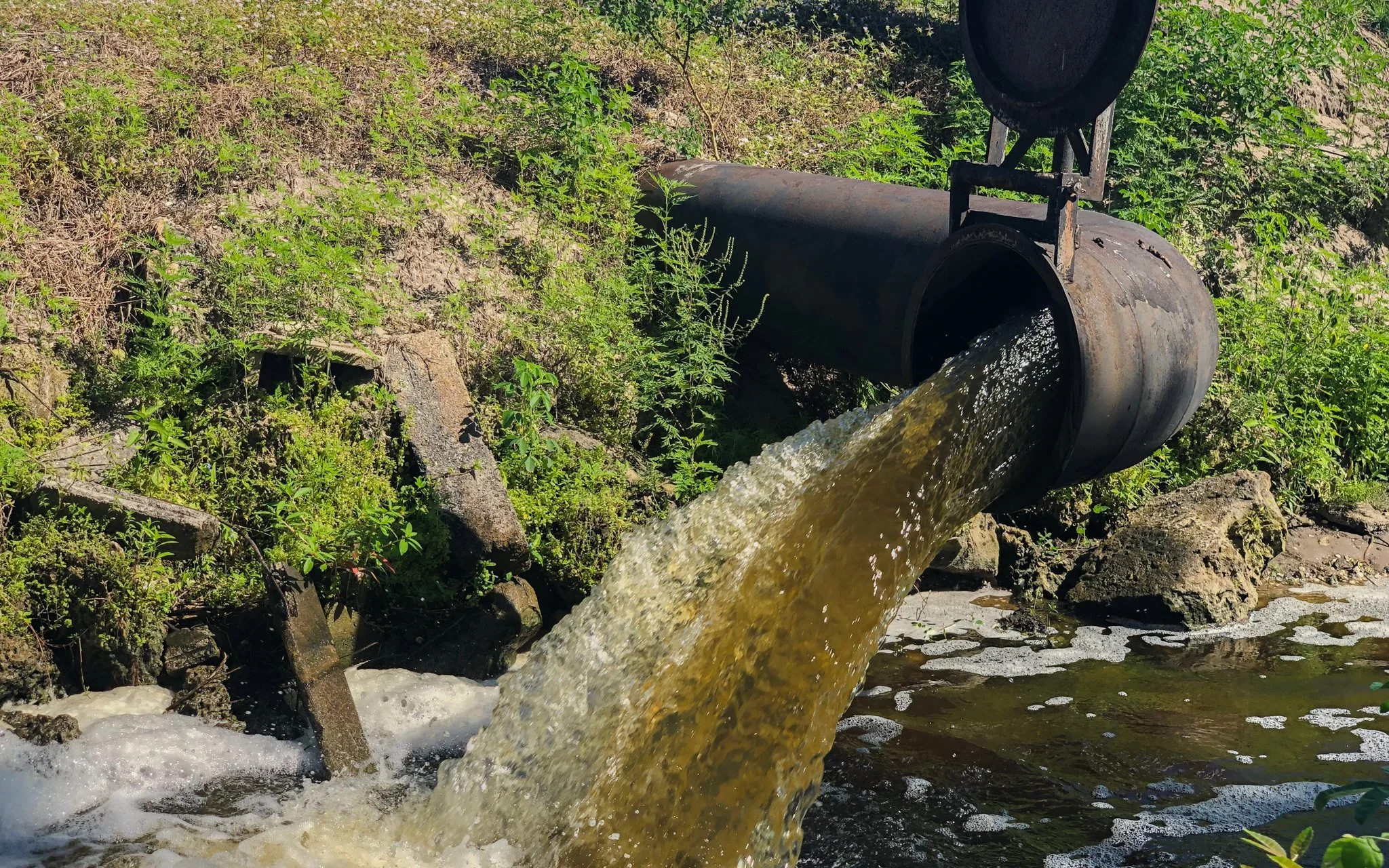 Blog Post Title Three