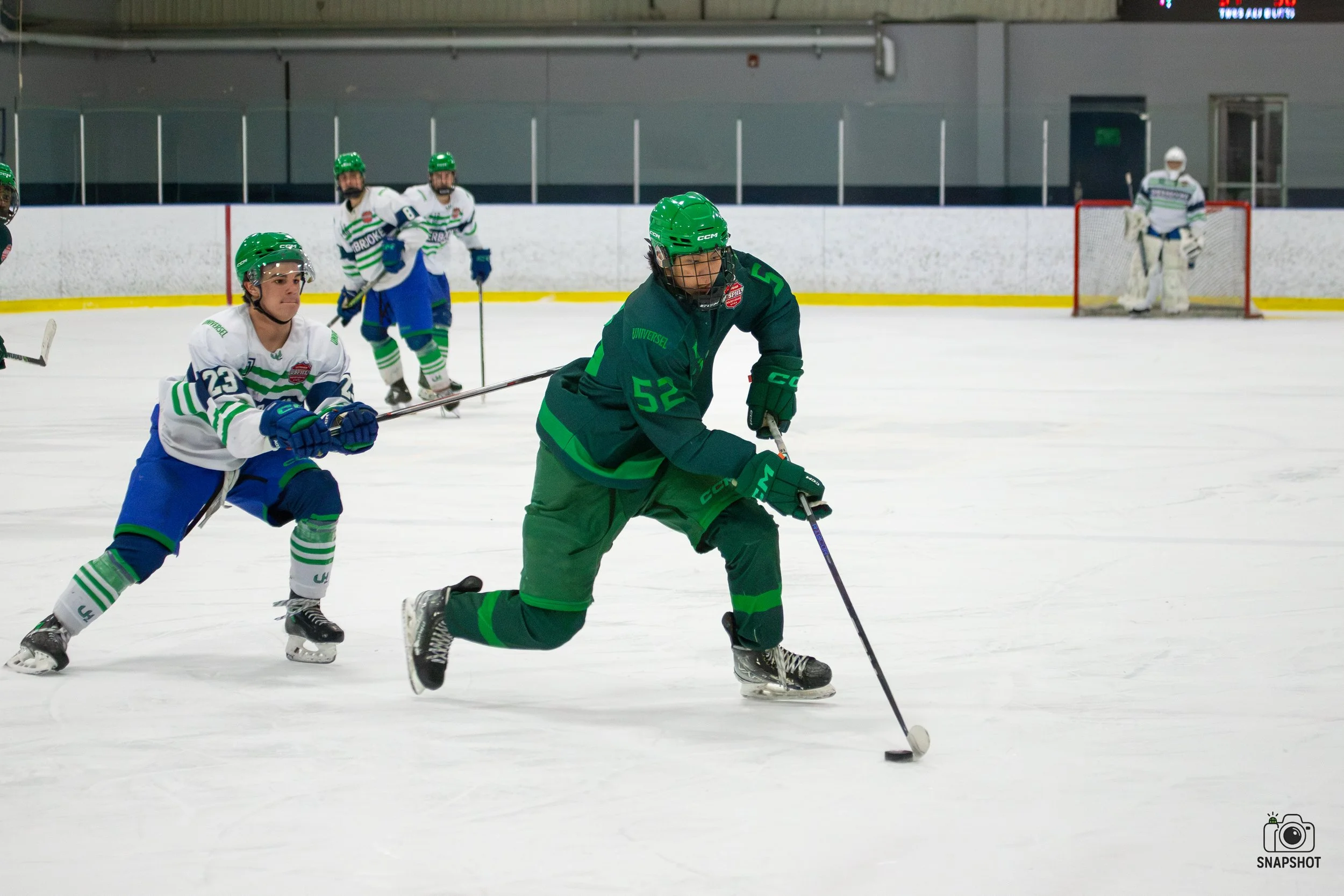 Puck protection