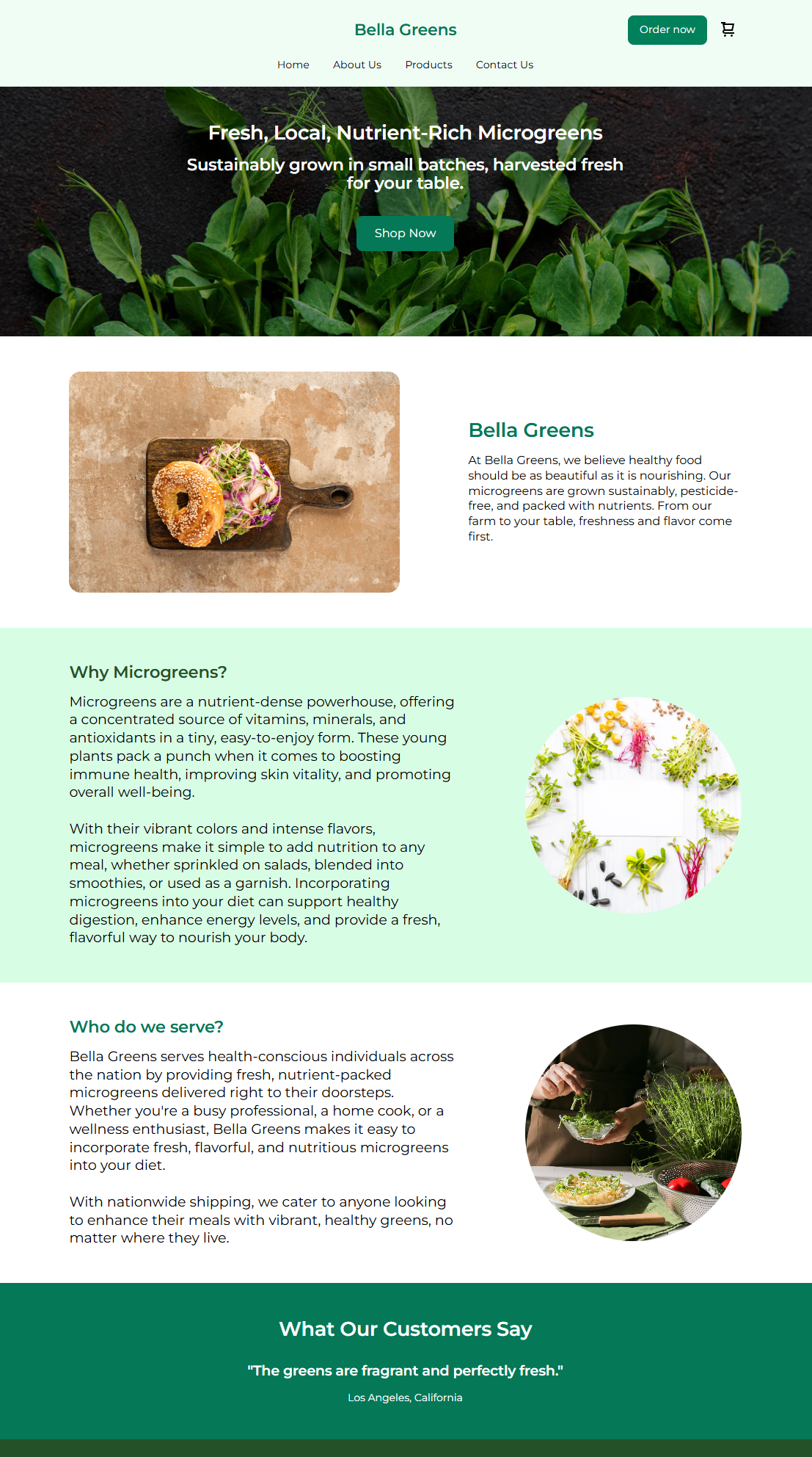 Website Design - Home Page Layout & Messaging