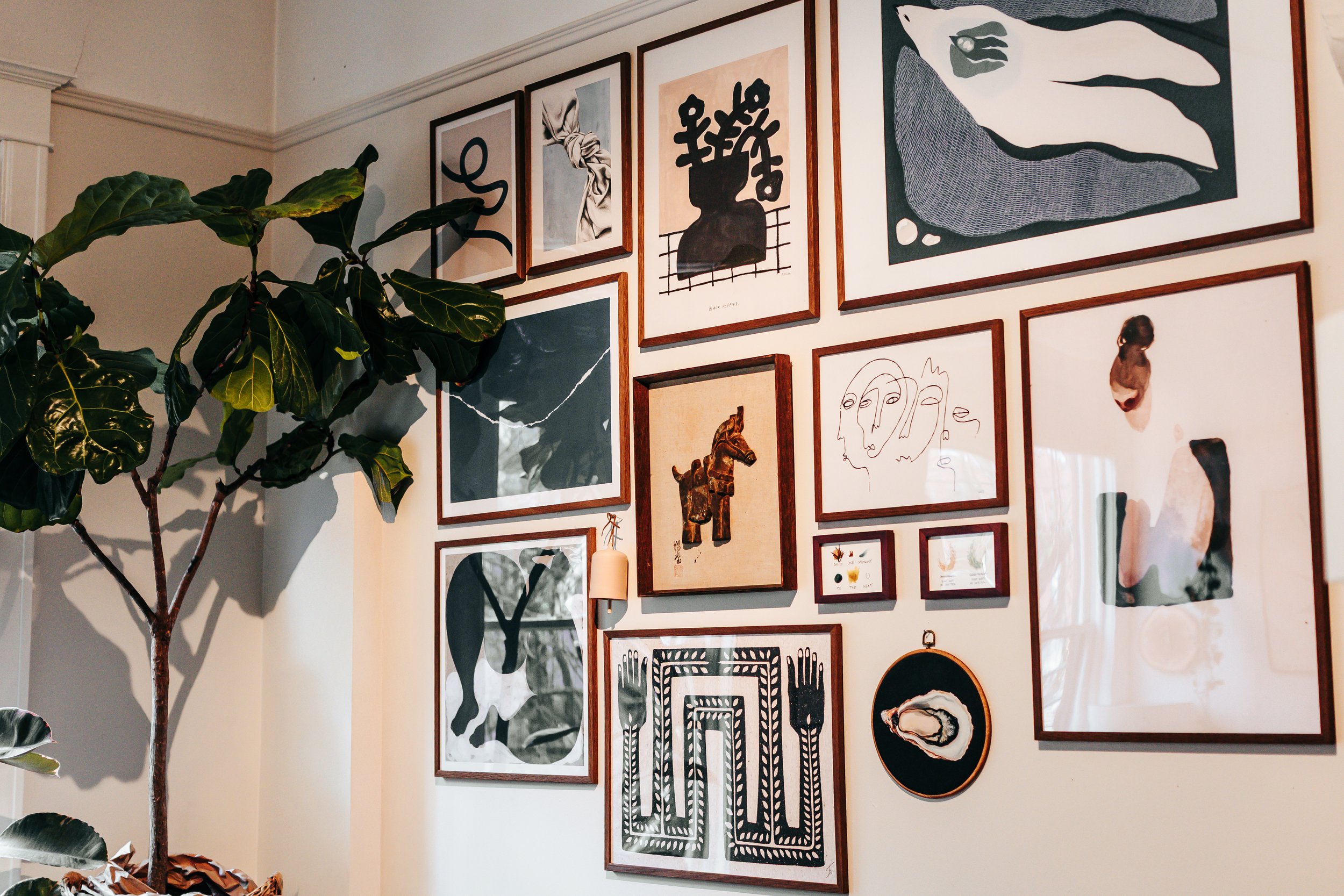 A wall decorated with a gallery of various framed artworks in different sizes and styles, including abstract, line drawings, and paintings, with a large green leafy plant on the left side.