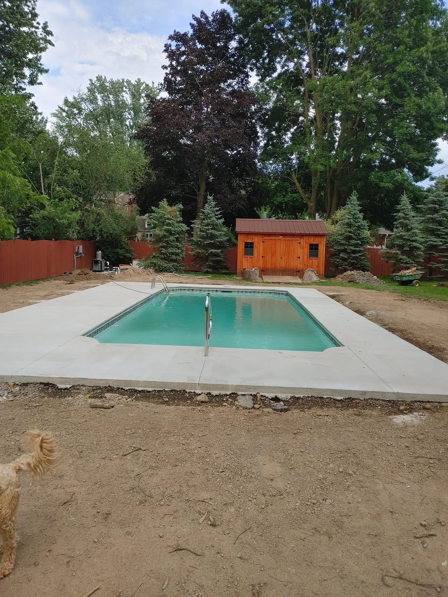 A backyard with an in-ground swimming pool, a wooden shed, and tall trees in the background. A dog is partially visible in the bottom left corner, and there is dirt and construction activity around the pool area.
