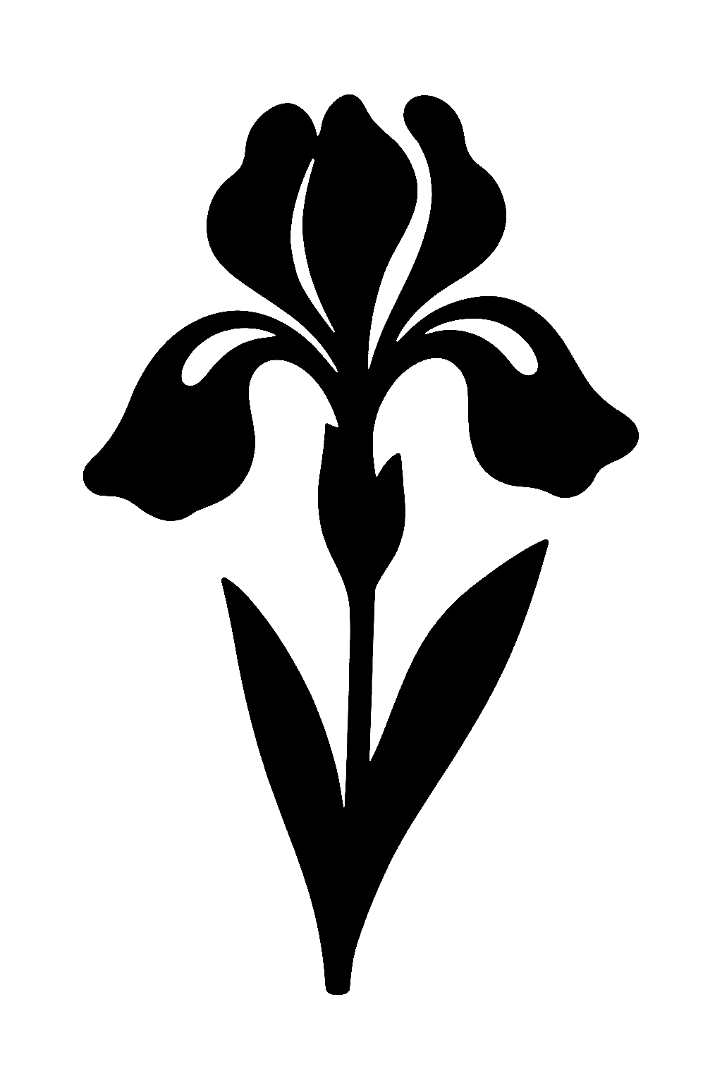 Outline drawing of a single iris flower with petals, leaves, and stem.