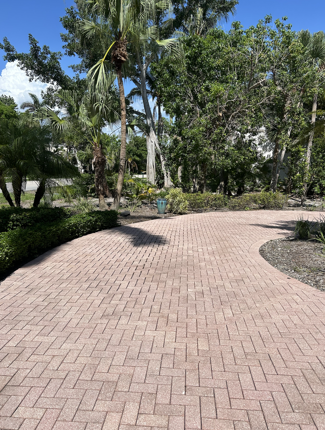 Driveway Cleaning