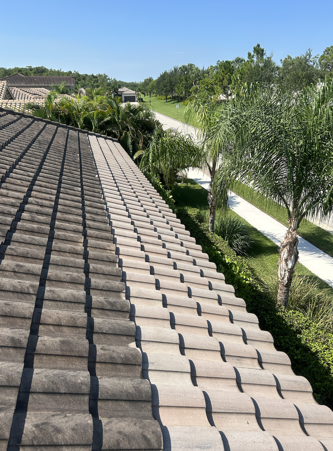 Roof Cleaning