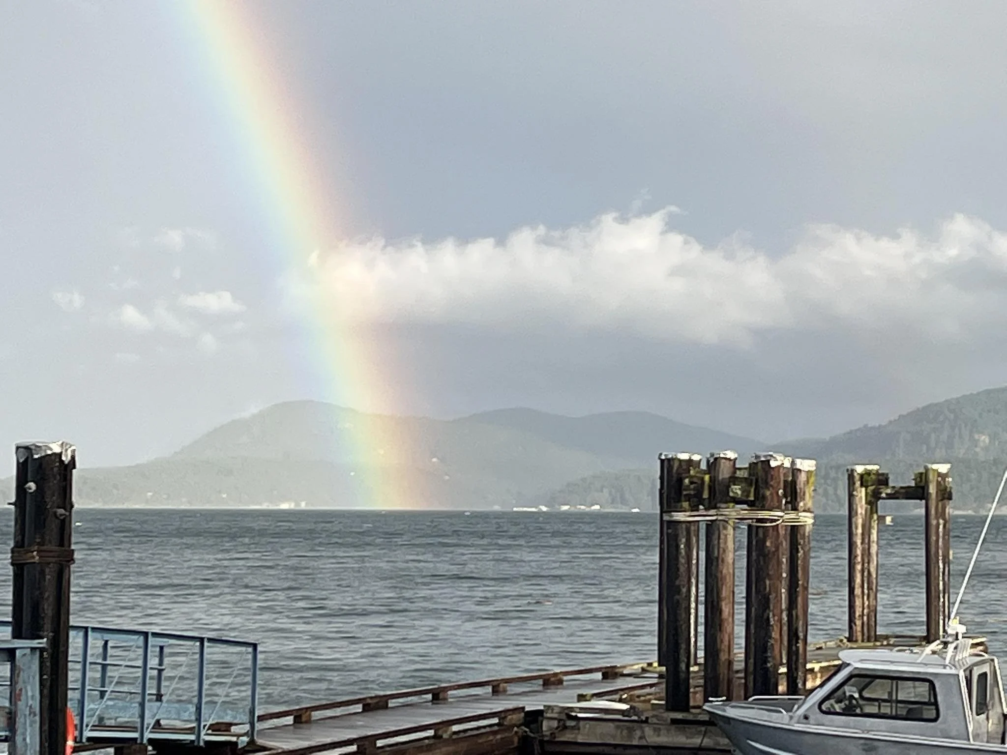 🌿The End of Chronos