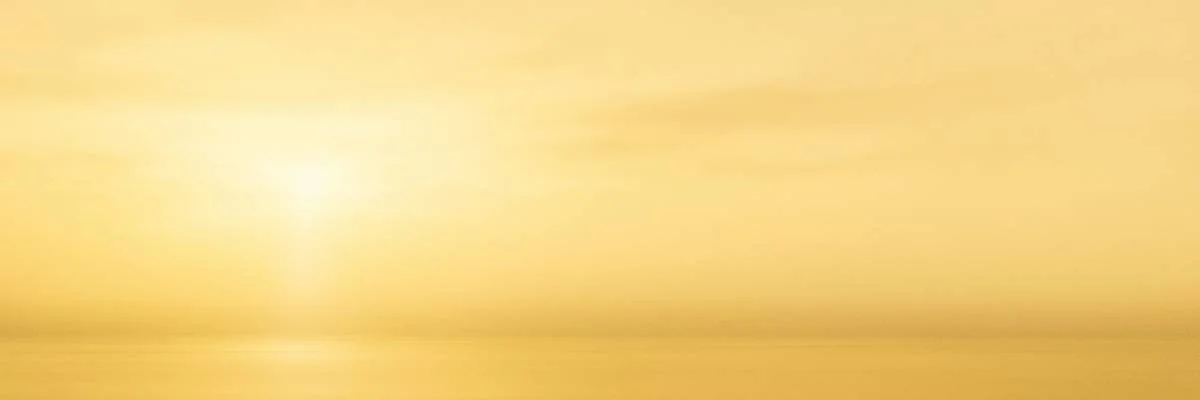 🌿Eternal as Light, not Time